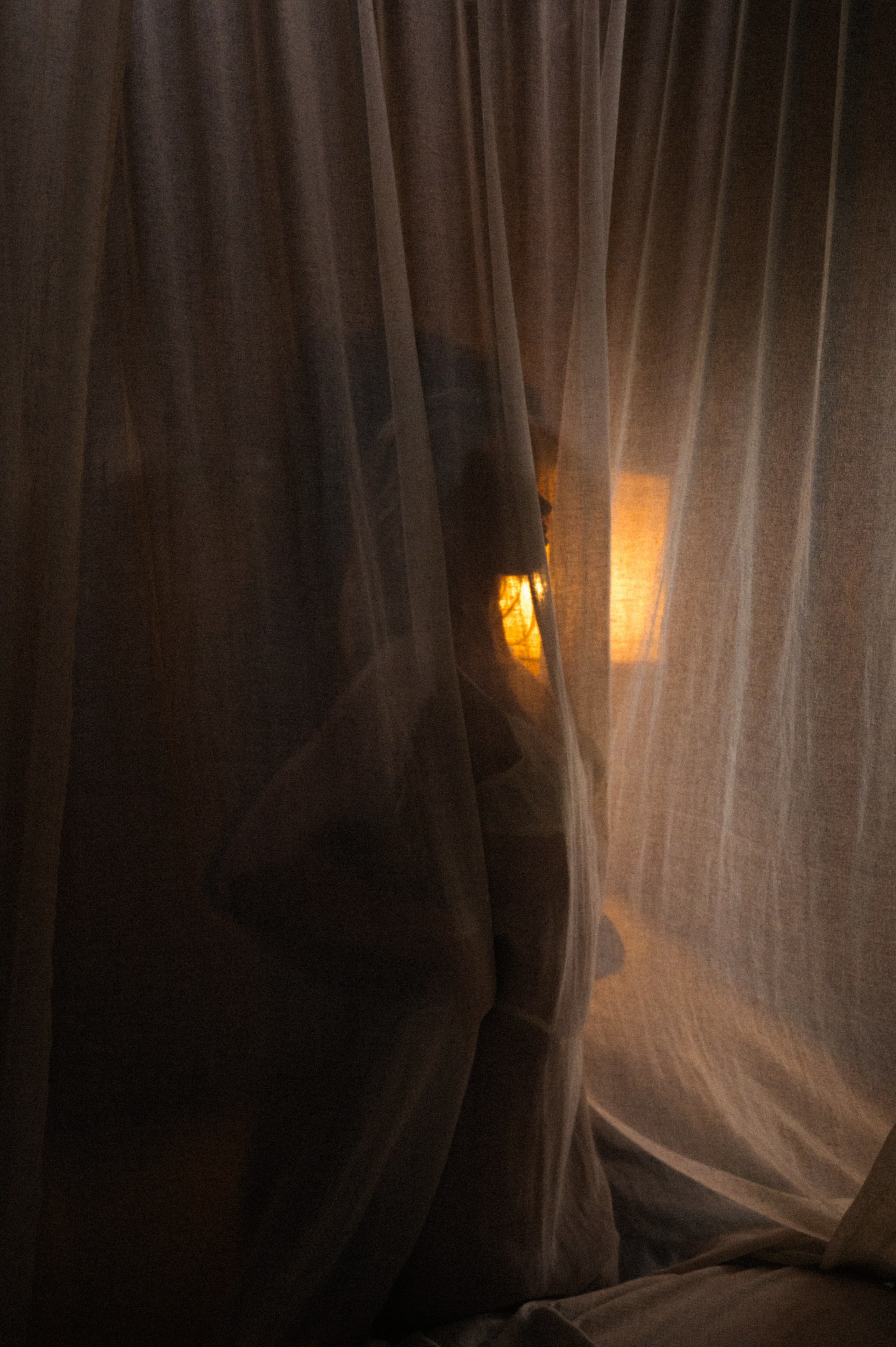 Портфолио. Фотограф Татьяна Кудряшова