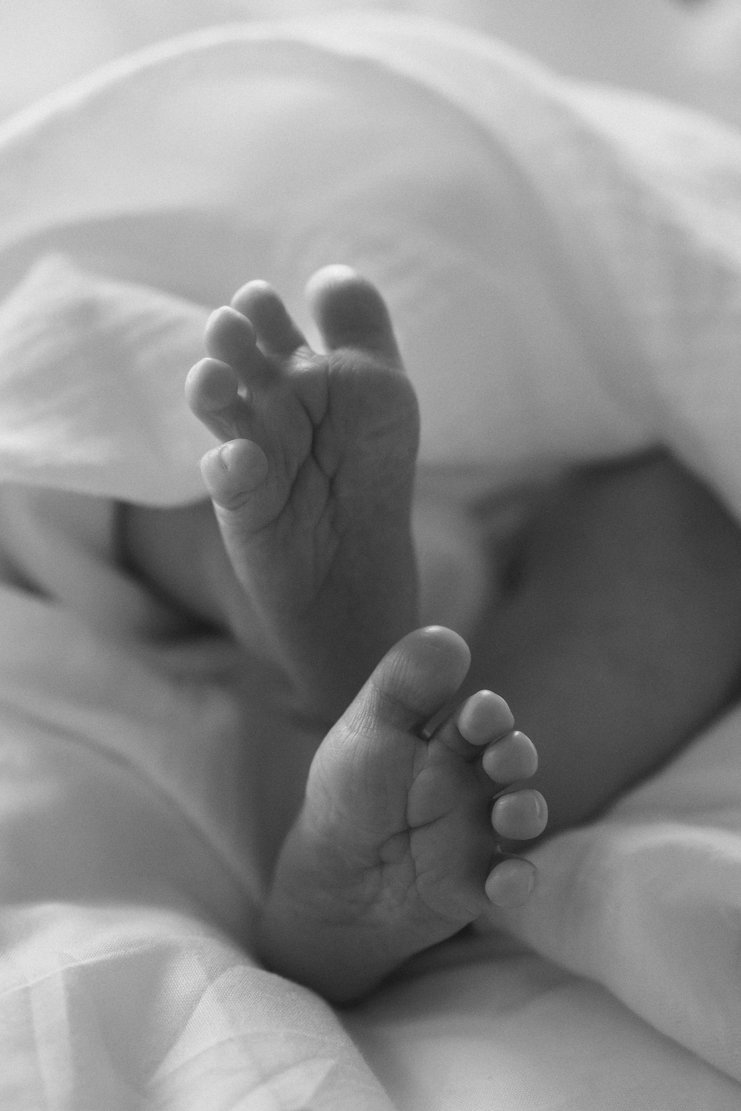 Новорожденные. Кристина Москвина. Портретный фотограф