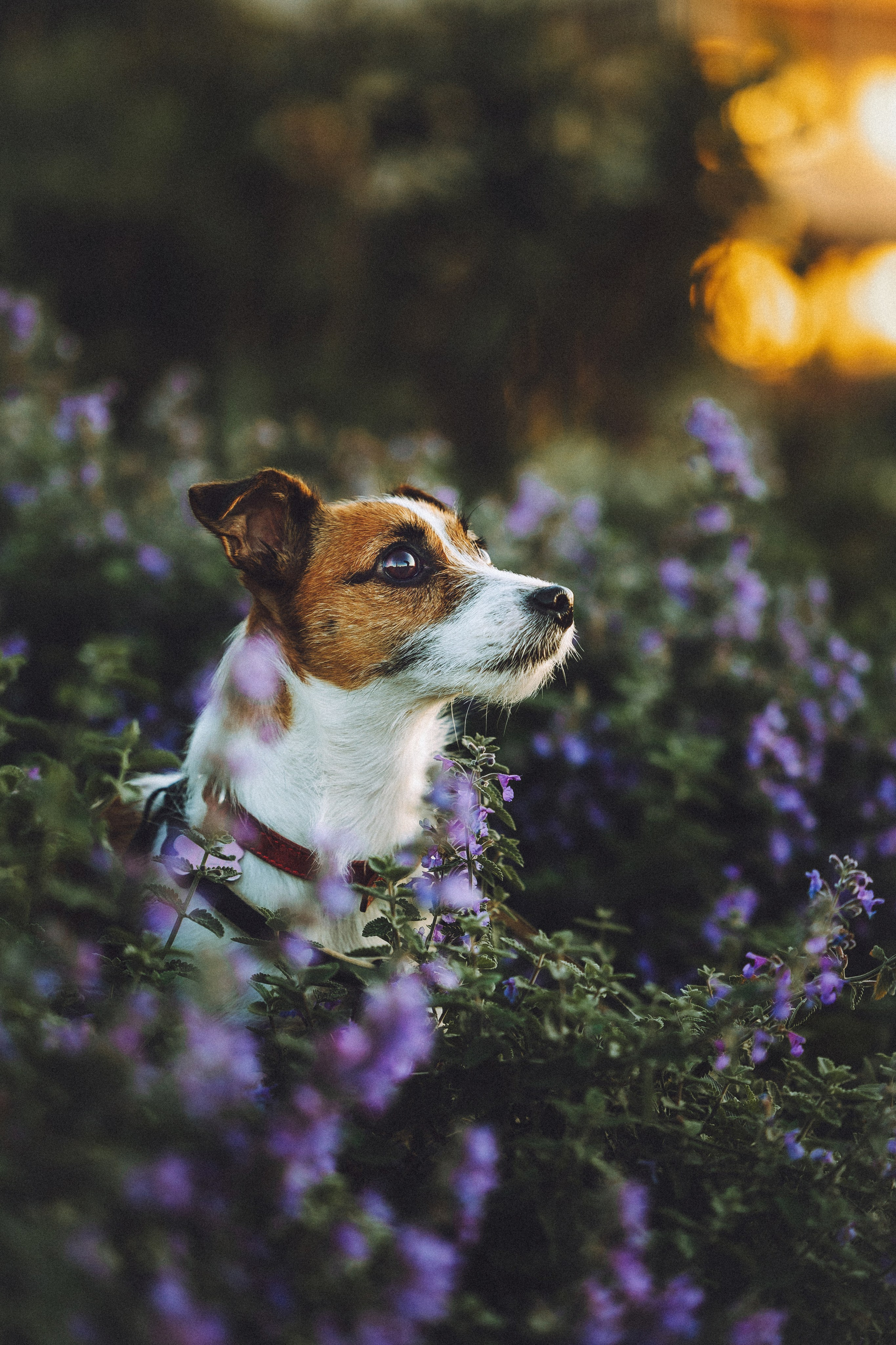 Лера и Рада