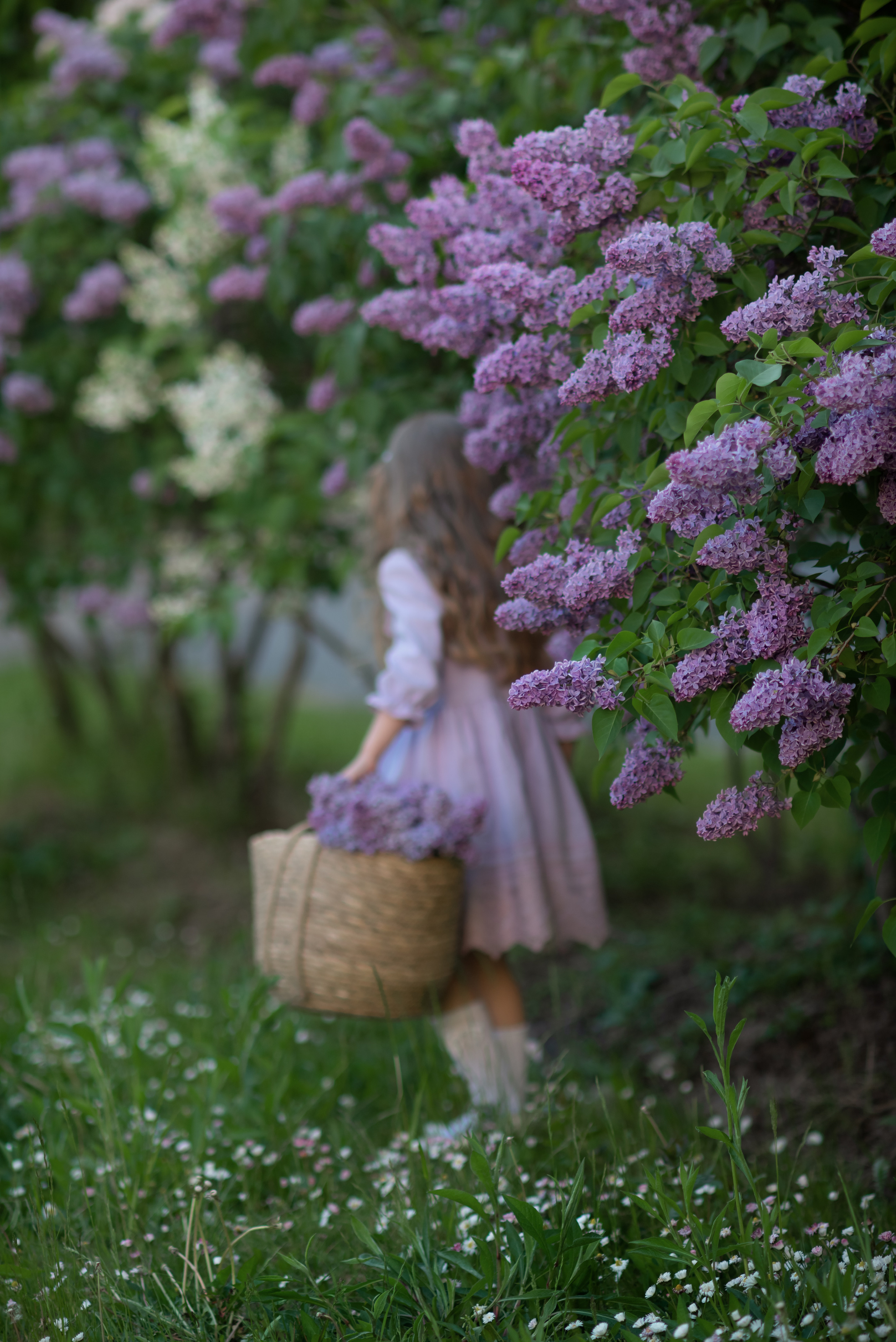 Ксюша. Семейный и детский фотограф в Санкт-Петербурге Скибо Марина