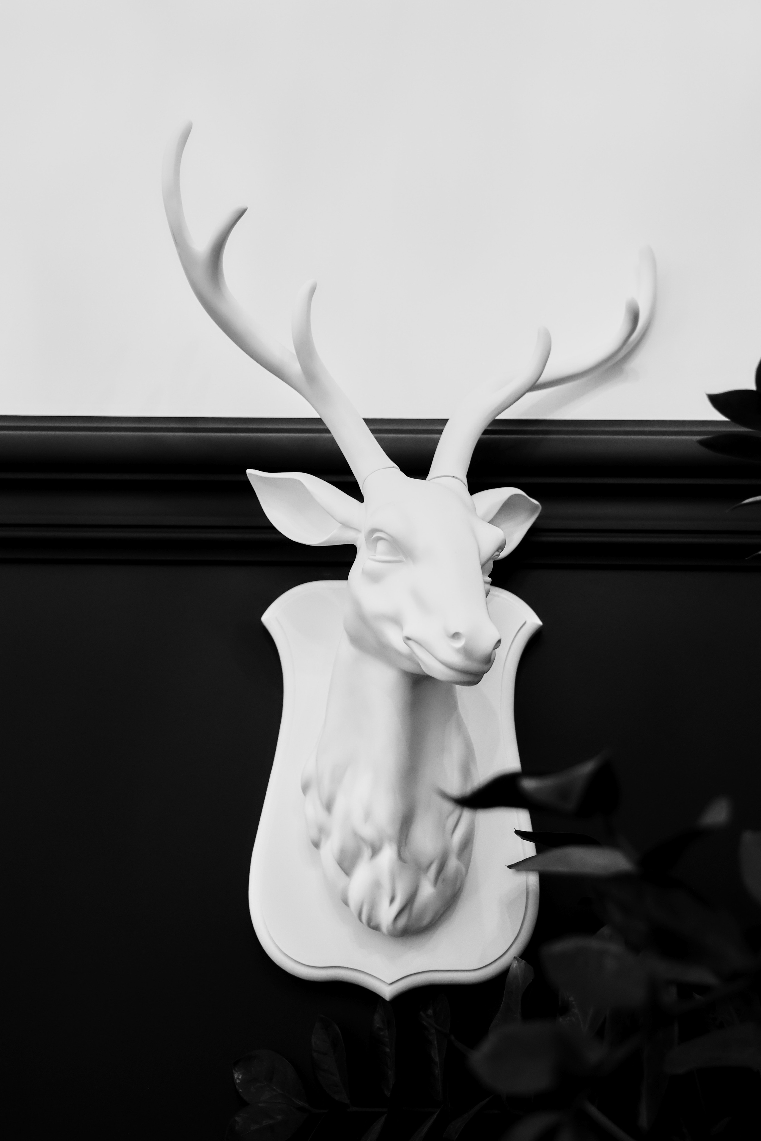 Свадебные фотографии в  Самаре. Свадебный Фотограф Олег Слеб