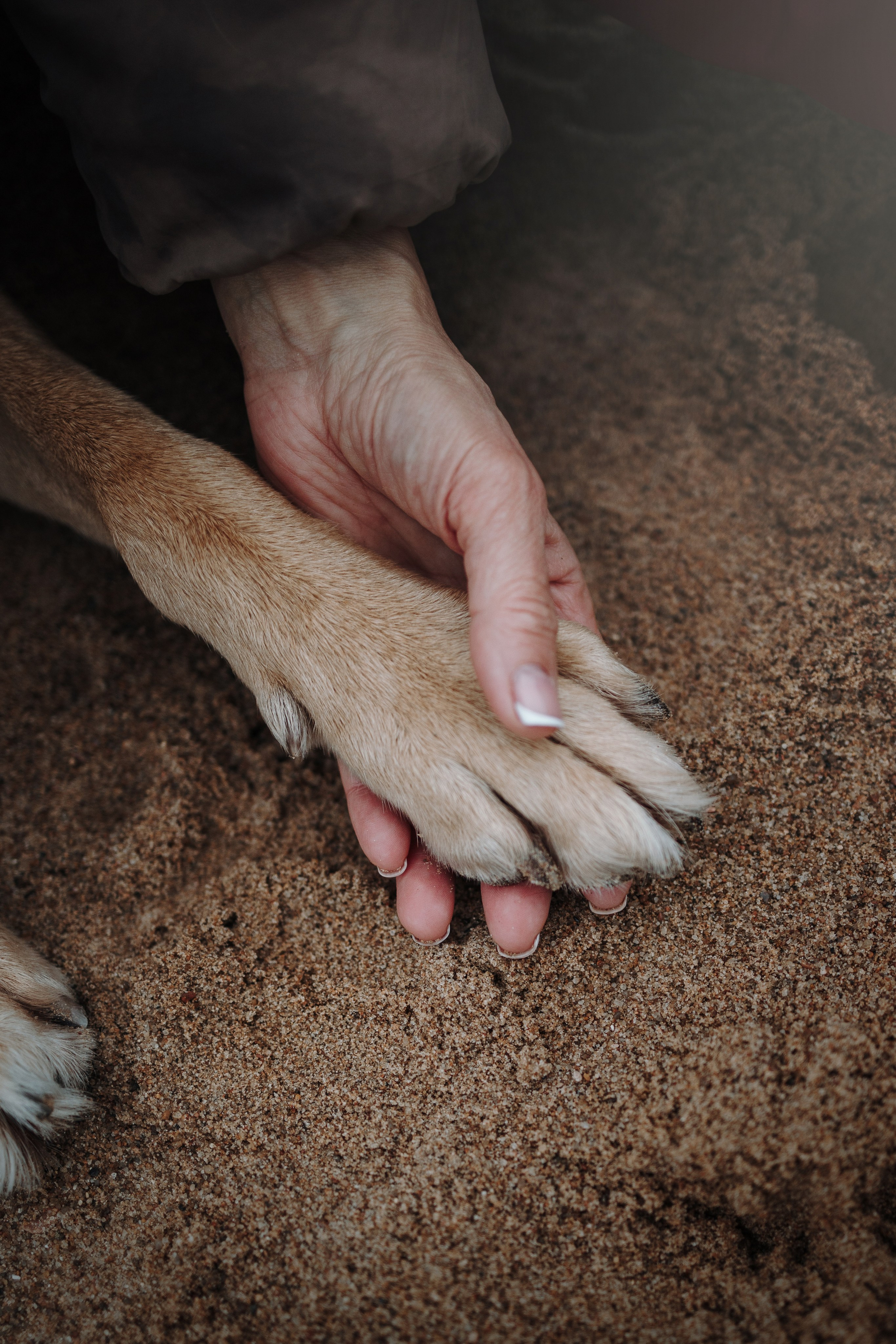 Наталья и Того. Фотограф — Анималист | Санкт-Петербург