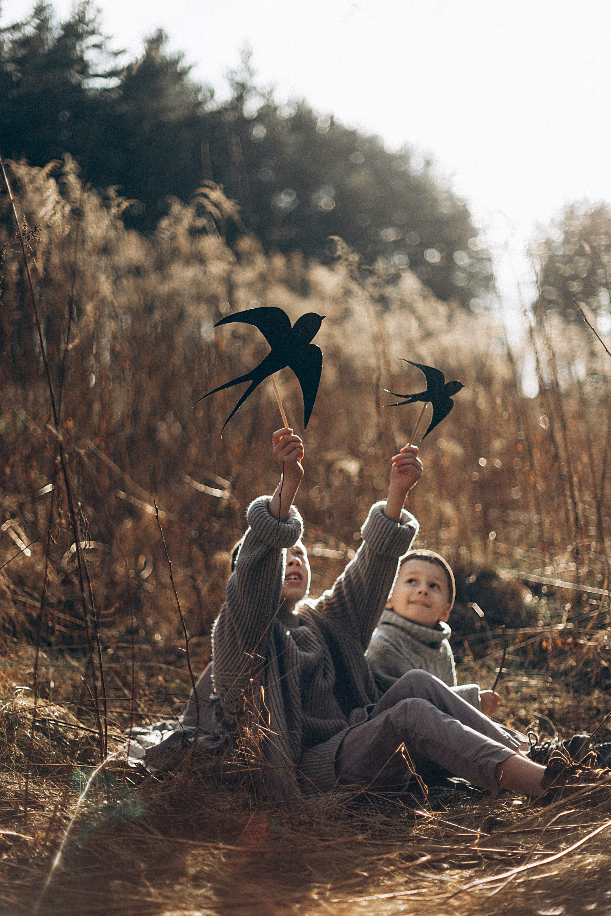 Птицы-самолеты. Репортажный и детский фотограф в Минске