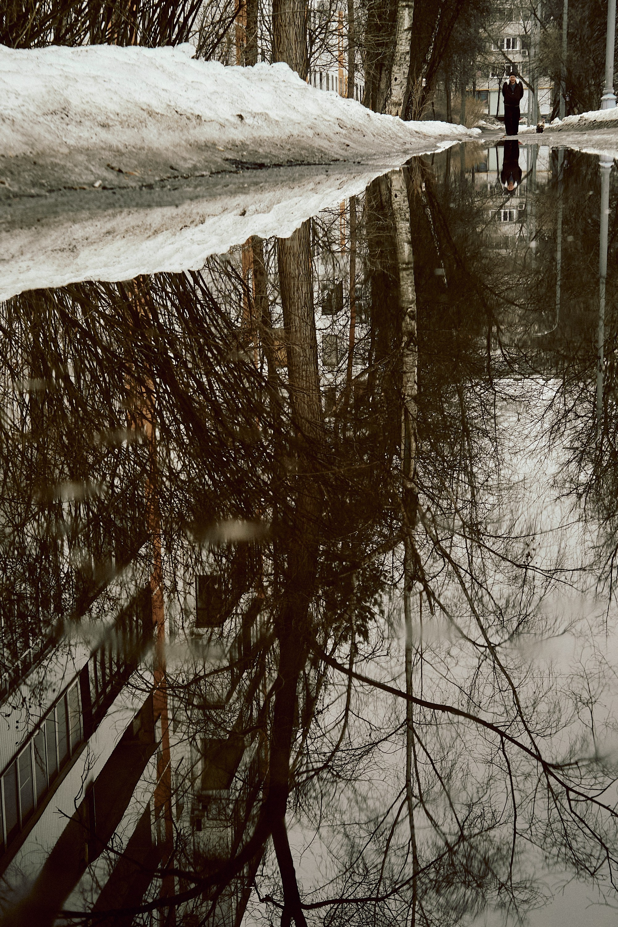 Москва. Фотограф и оператор мероприятий, концертов и портретов в городе Москва