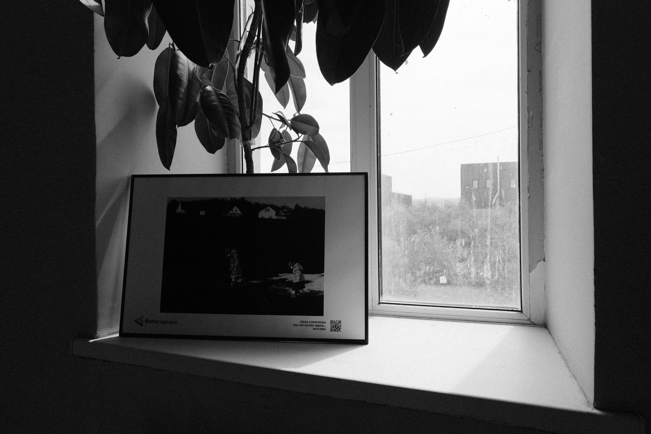 Красноярск 10-24.05.2025. Фотострелка