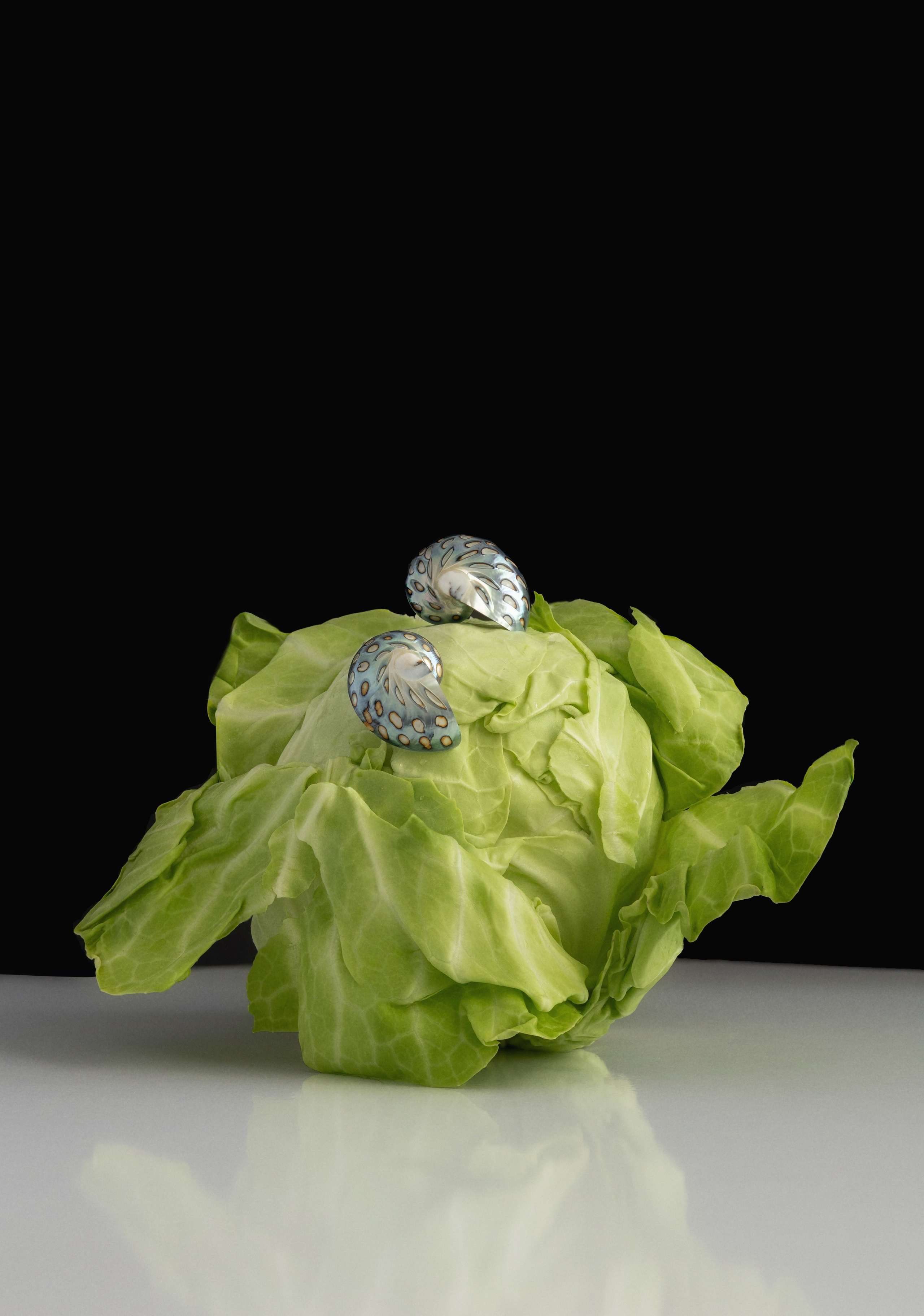 Украшения. Предметный фотограф в Грузии