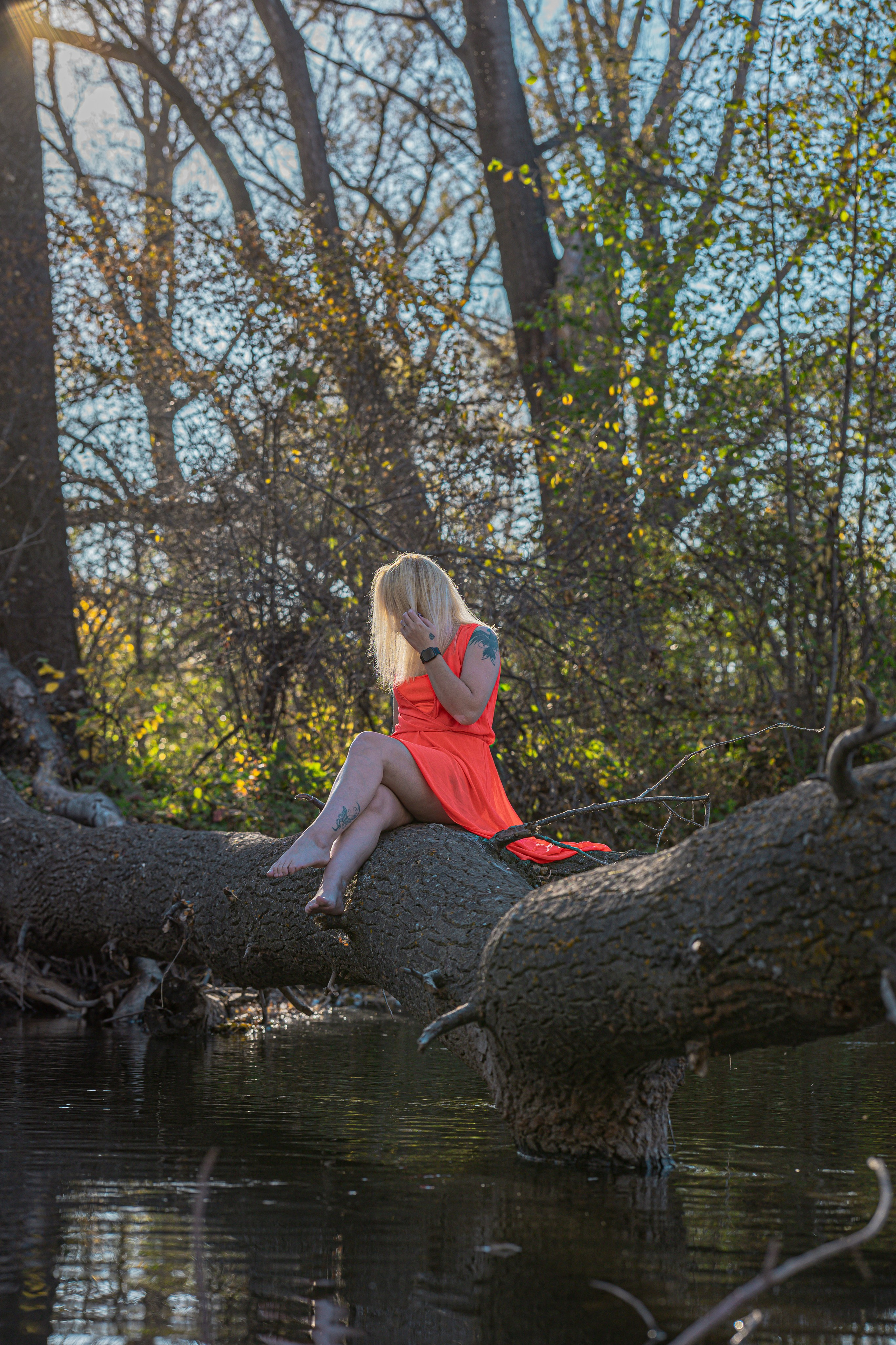 Альбина (2025)