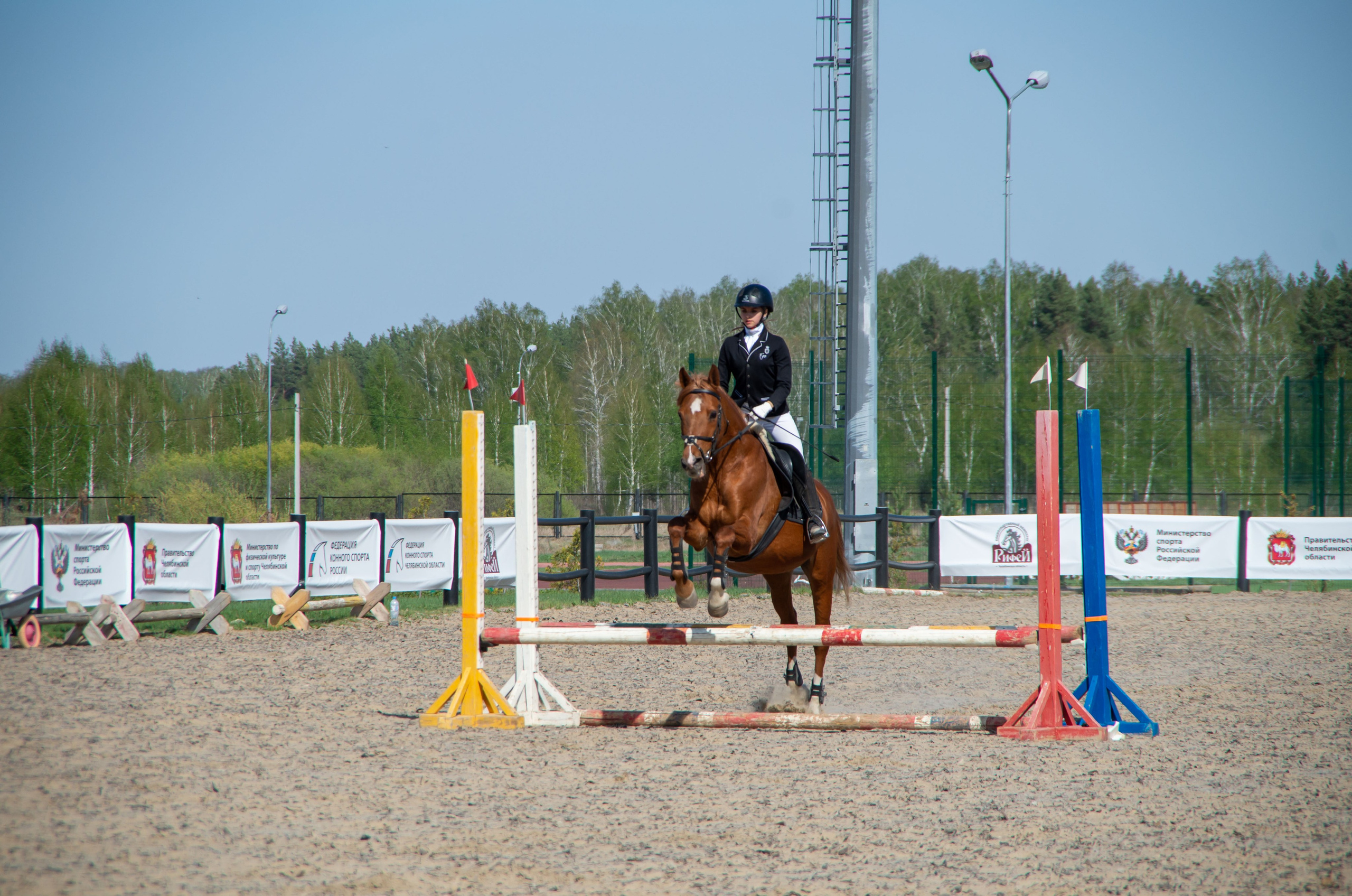 ДЕТИ & ЛОШАДИ. Фотограф Марина Доглядная Челябинск фотосессии с лошадьми, мотоциклами