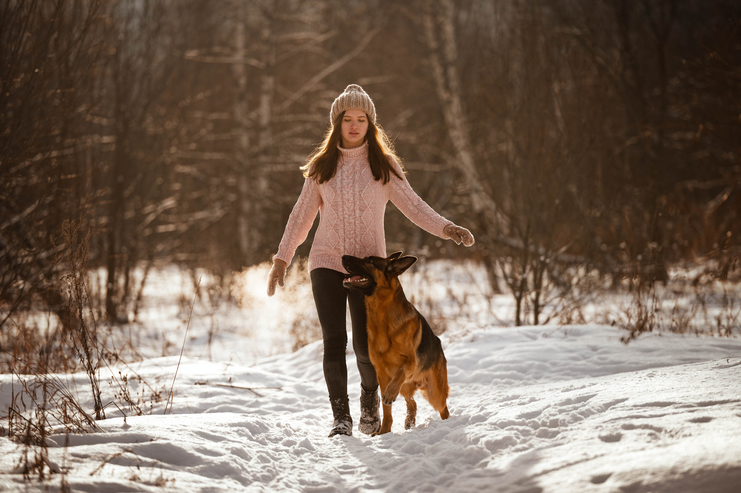 Вольт. Фотограф-анималист
