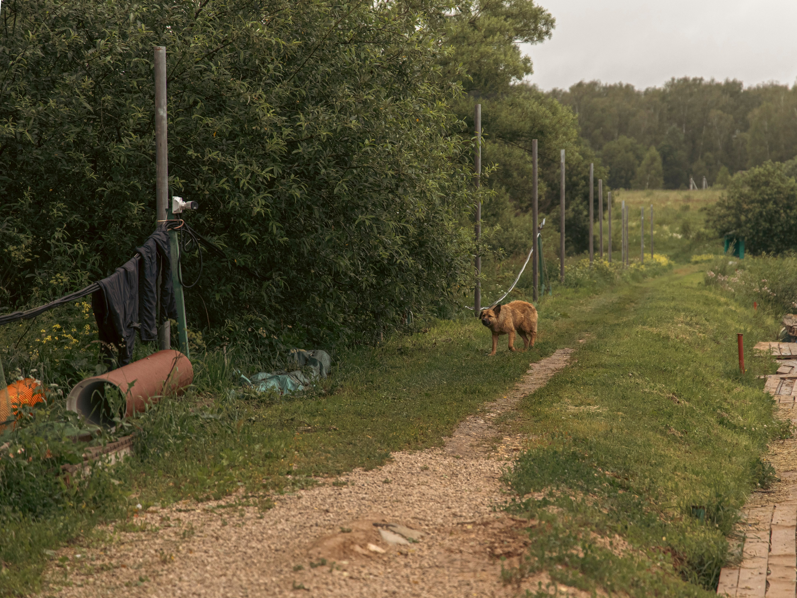 Тихая заводь. Чеховский район. Фотограф для маркетплейсов, фотоуслуги в Жуковском Татьяна Марсуверских