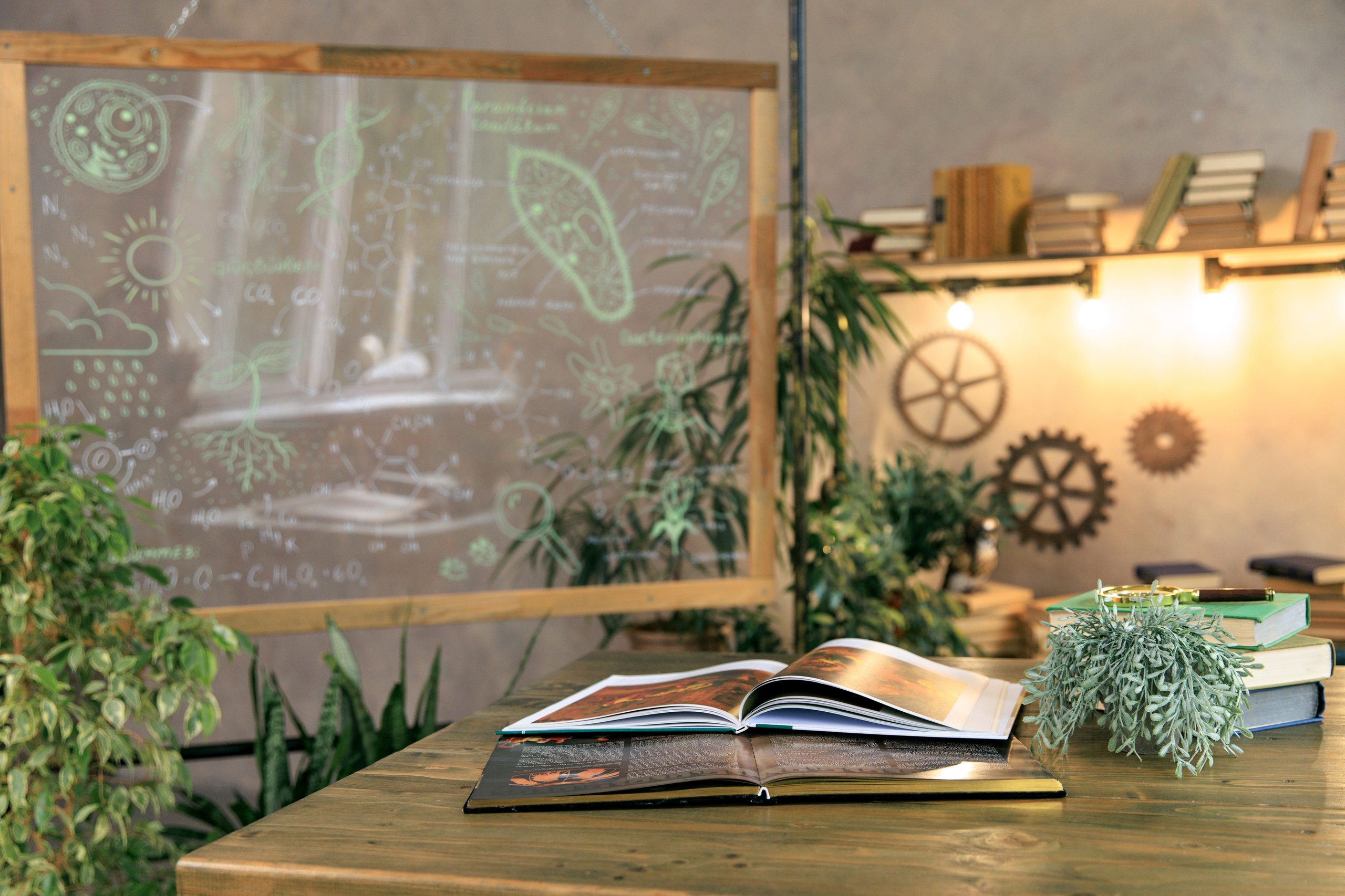 Фотостудия Экла. Выпускные альбомы Евгении Виноградовой г. Липецк