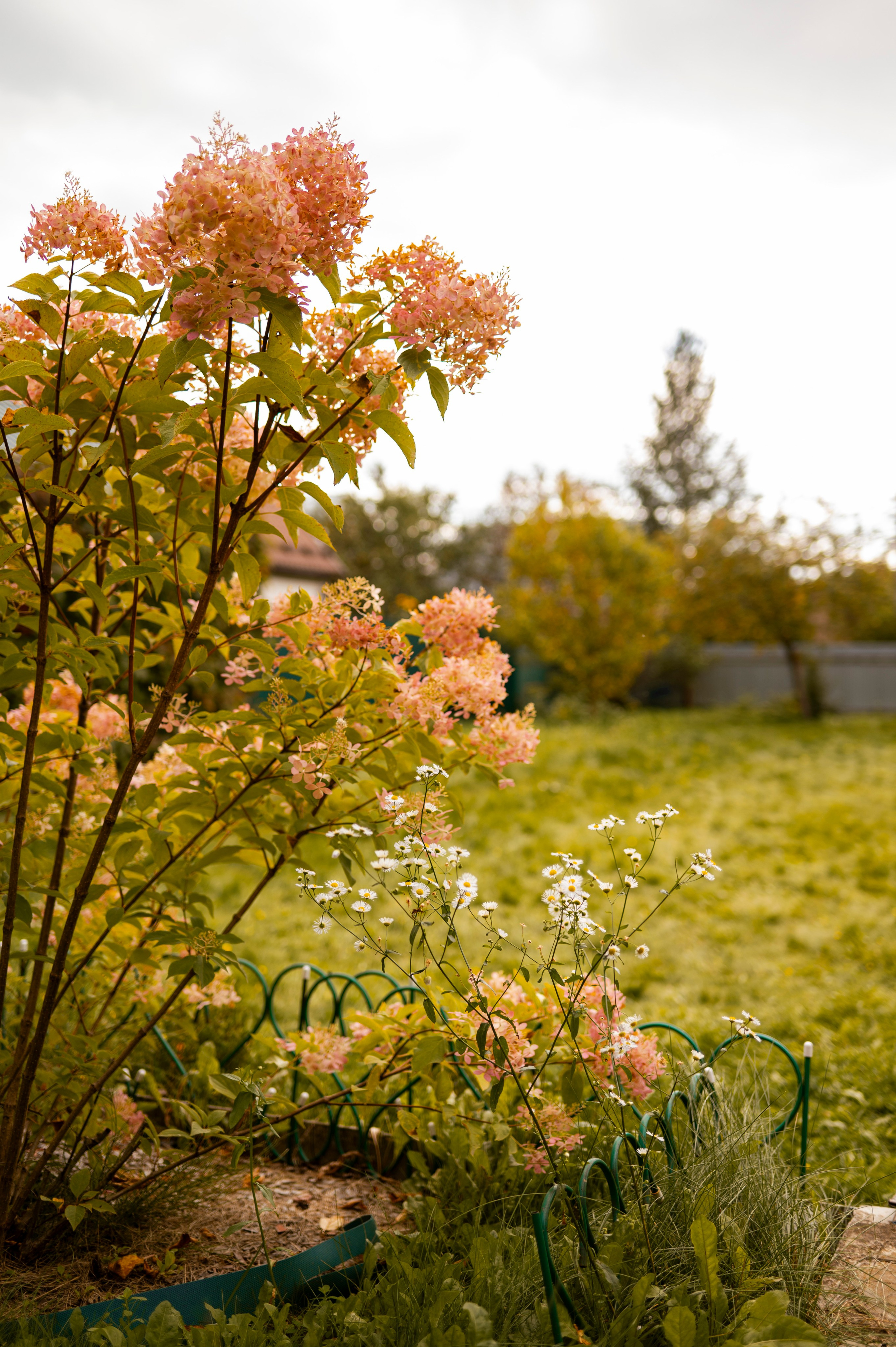 Осень во всей красе. Анна Боровикова, фотограф Пушкино