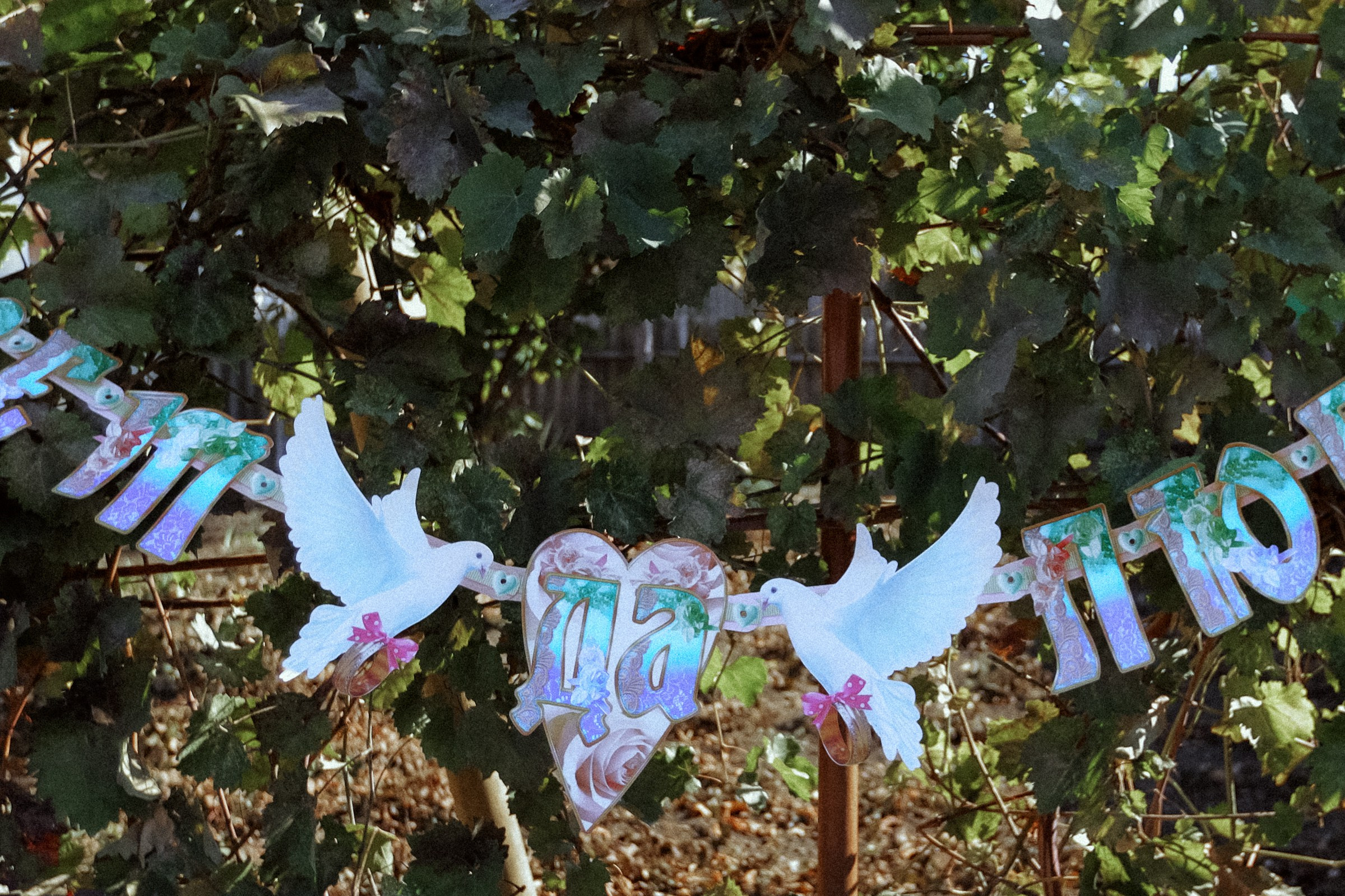 Виктор & Анна. Алексеева Татьяна свадебный фотограф Краснодар, Краснодарский край