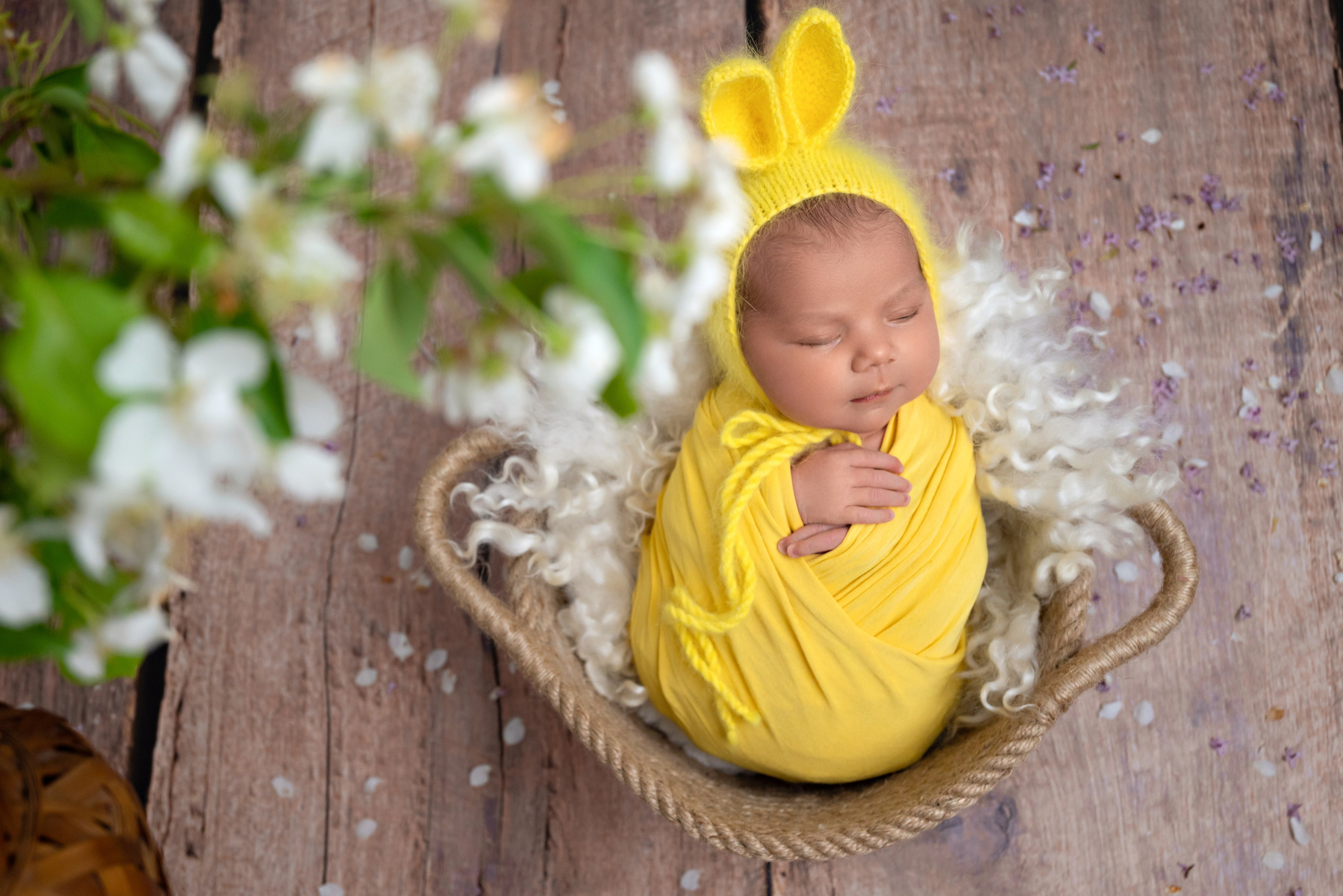 Девочки. Newborn42.ru Фотограф новорожденных  г. Кемерово Агафонова Жанна