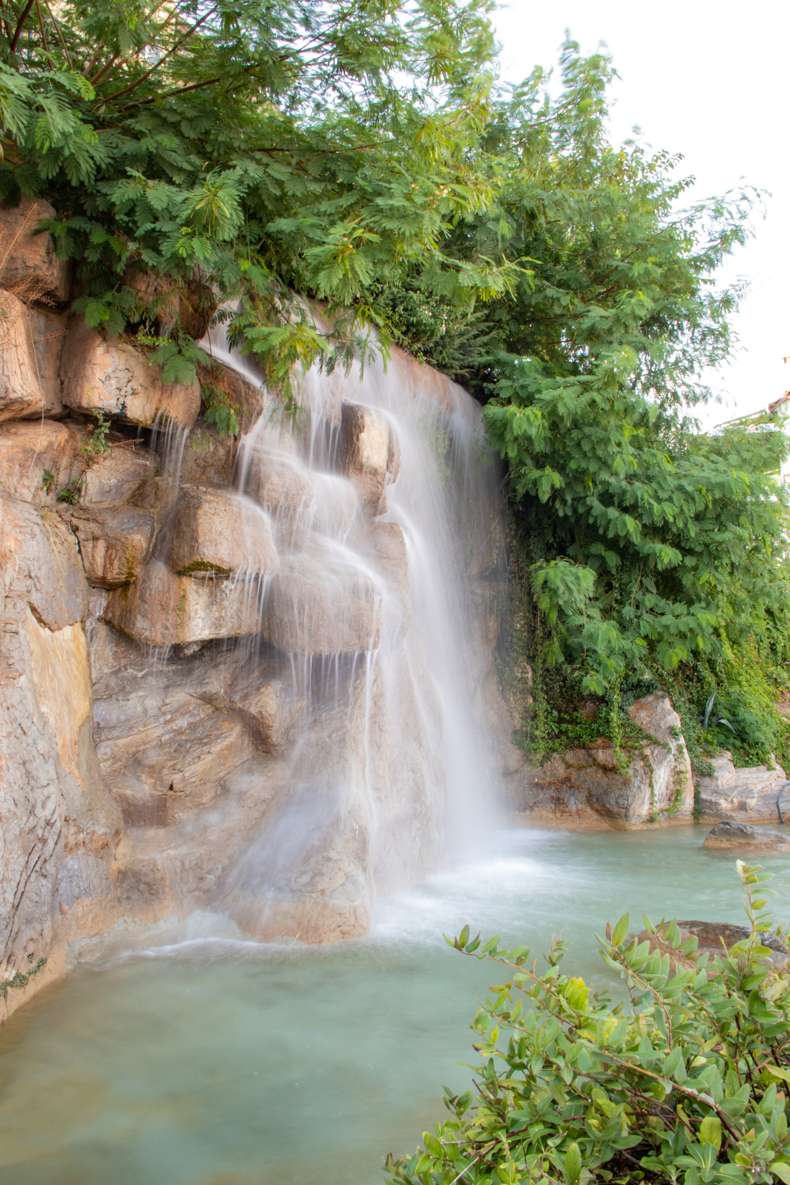 Nature. Фотограф/Видеограф