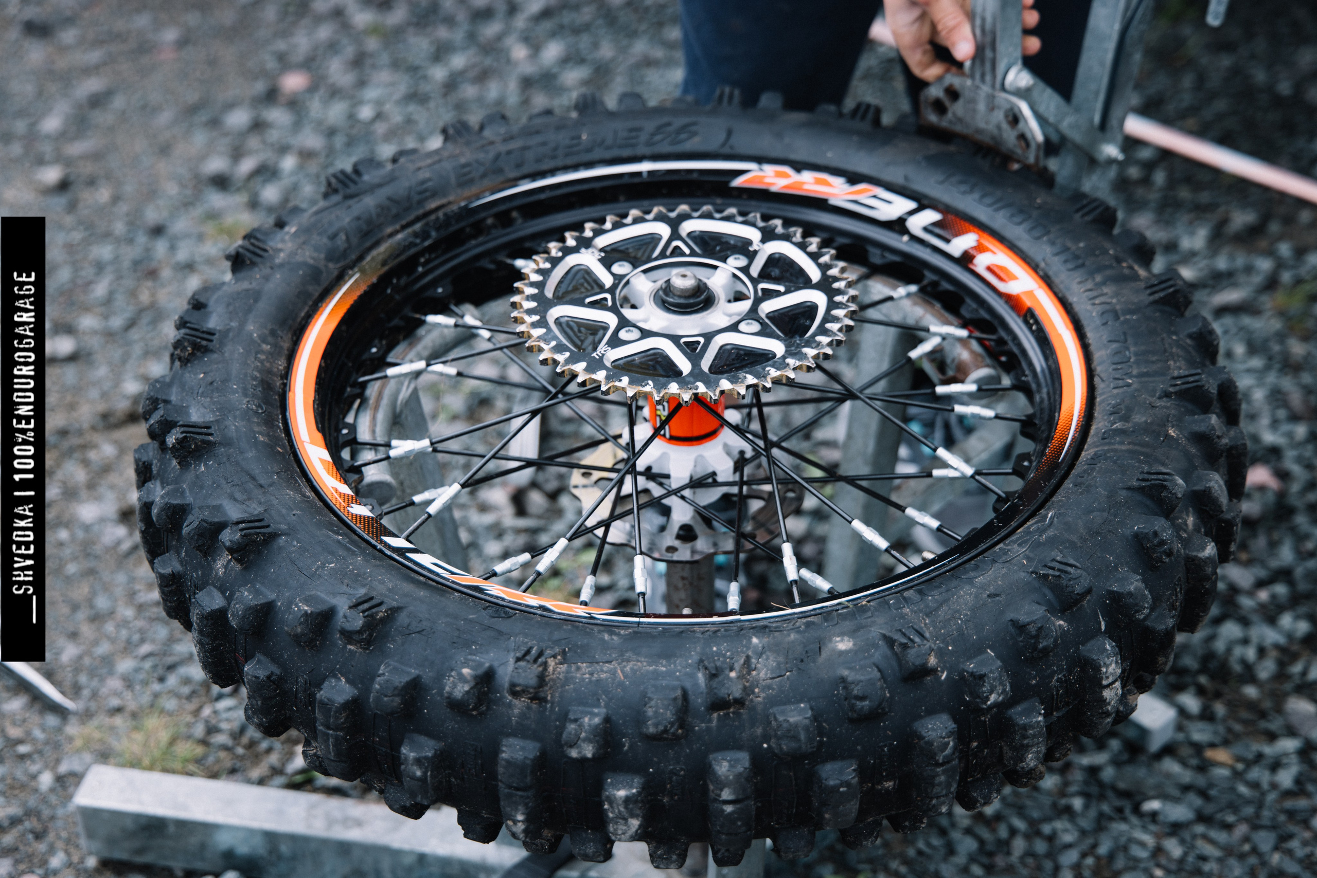 10.06. Ваш экстрим фотограф Кудрева Яна