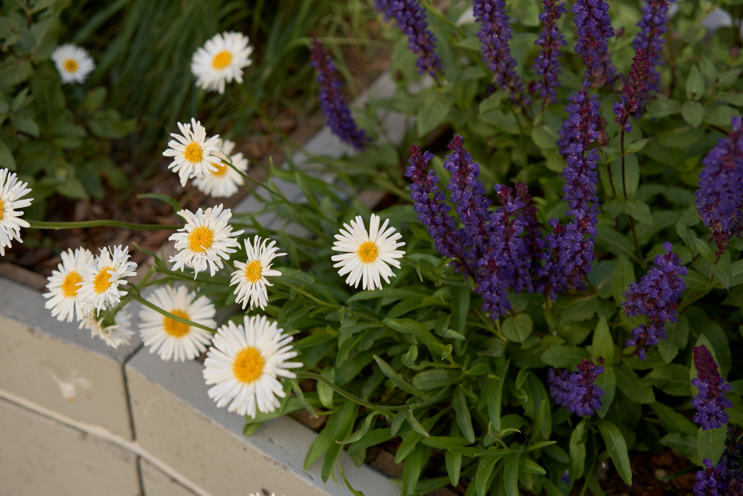 Влад и Катя. Чумаков Алексей Фотограф|Видеограф свадебные, индивидуальные, семейные, репортаж