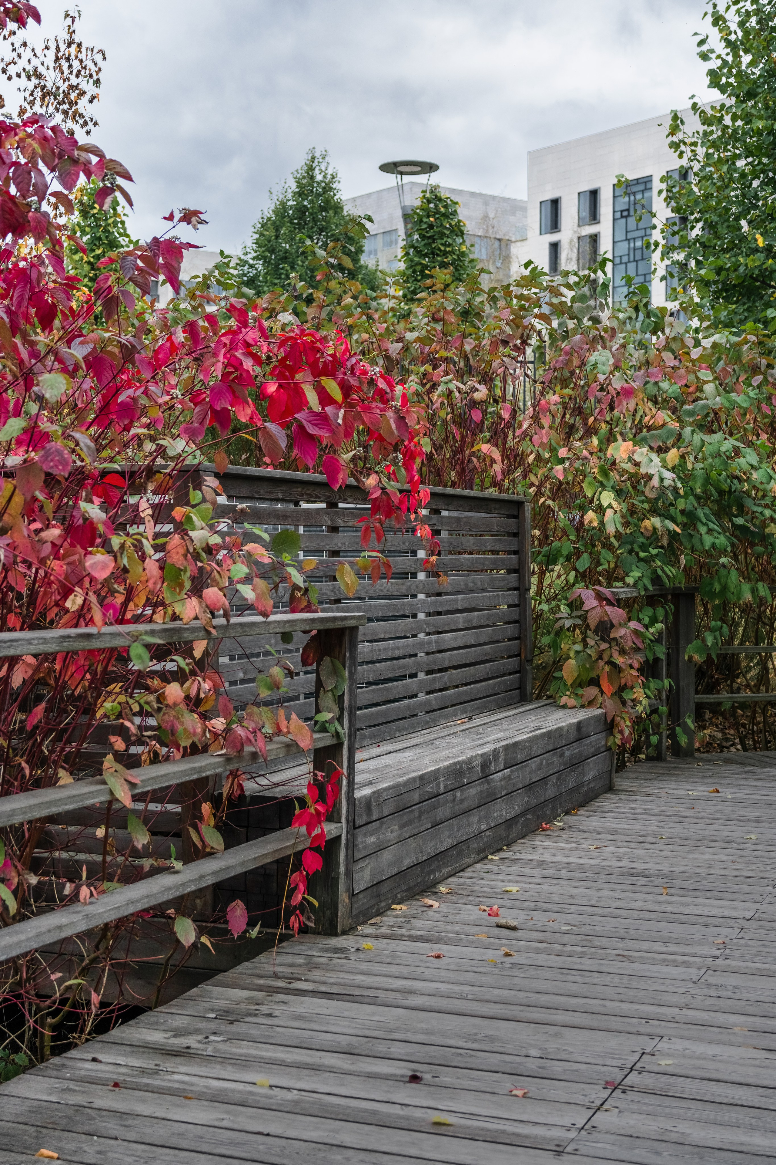 Skolkovo Park. Артамонов Александр | Архитектурный и ландшафтный фотограф