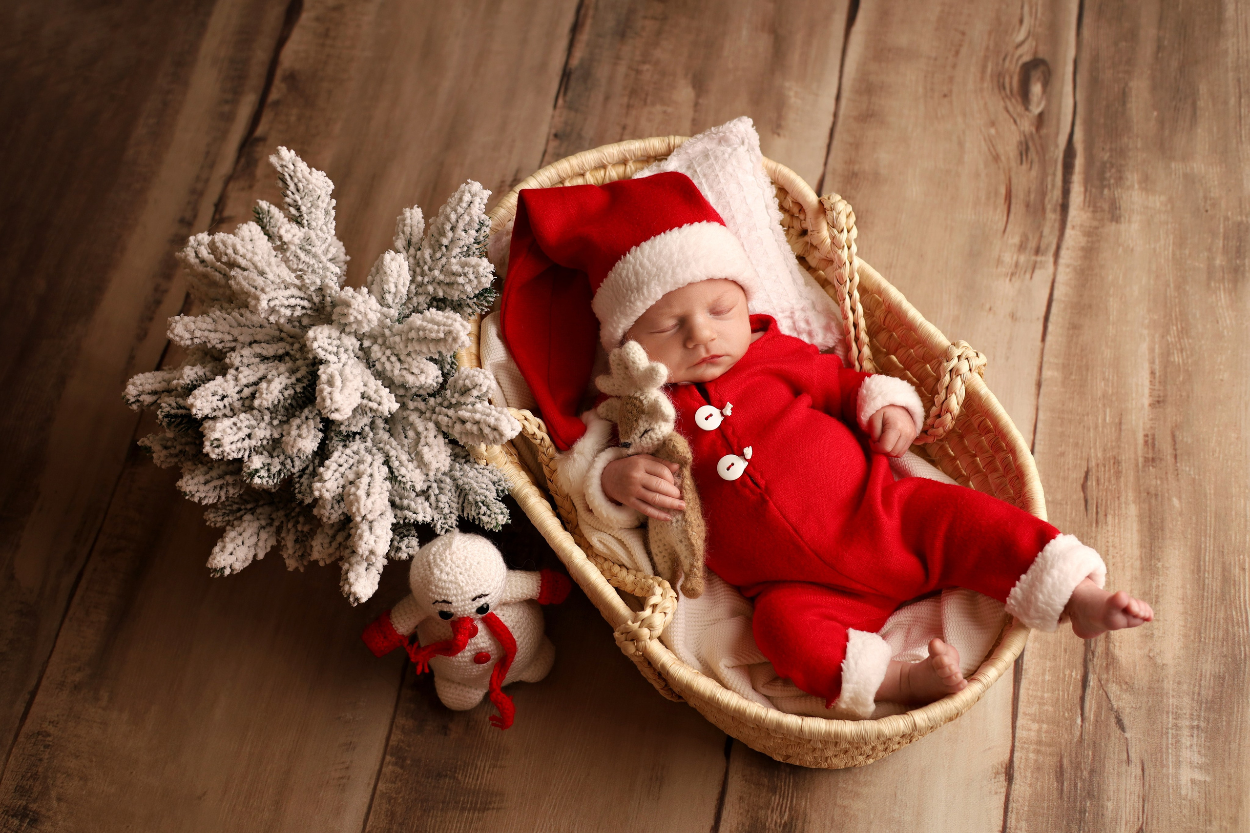 Детский фотограф новорожденных в Москве и Московской области Анна