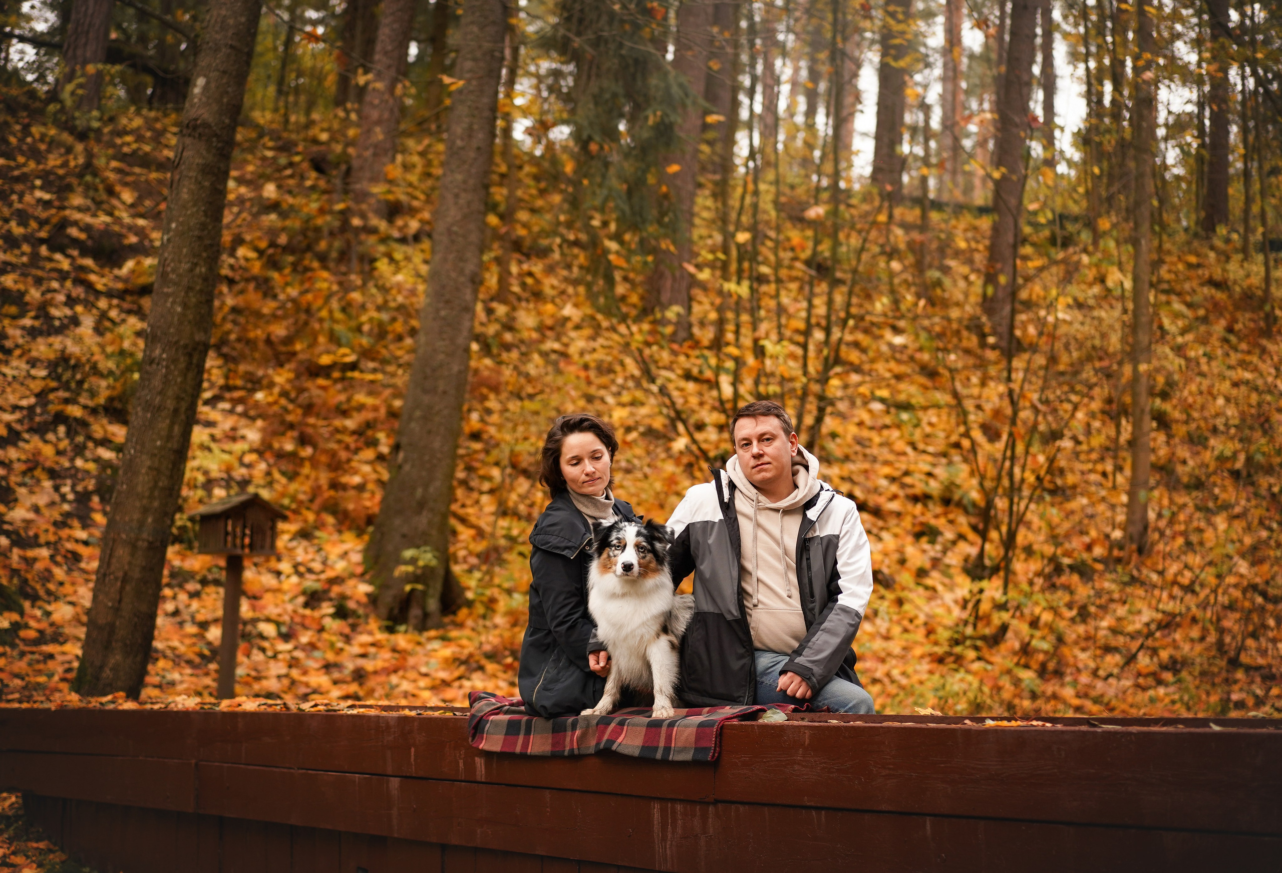 Соня Гавриил и Юкки. Фотограф-анималист в Санкт-Петербурге Яна Мартынова