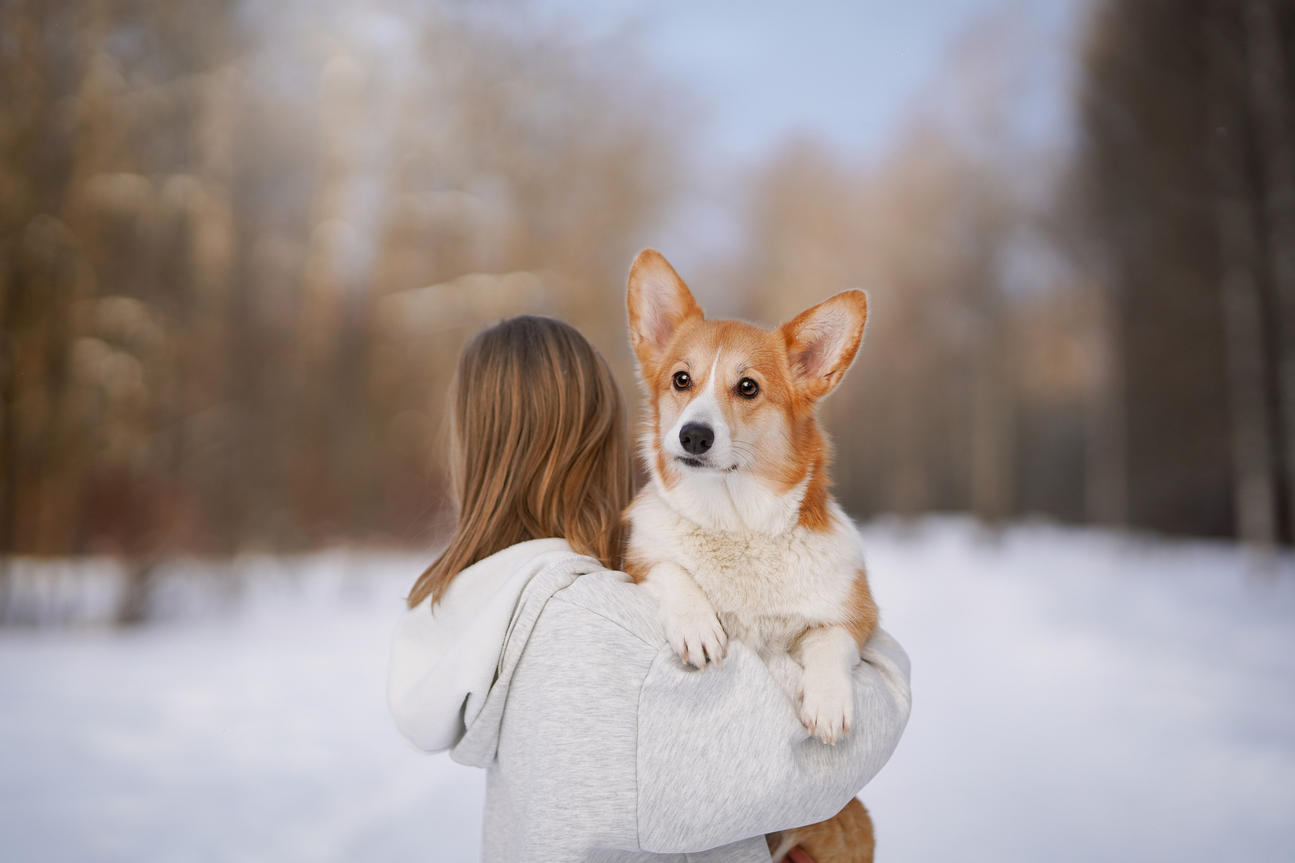 Кристина и Лаки. Фотограф-анималист в Санкт-Петербурге Яна Мартынова