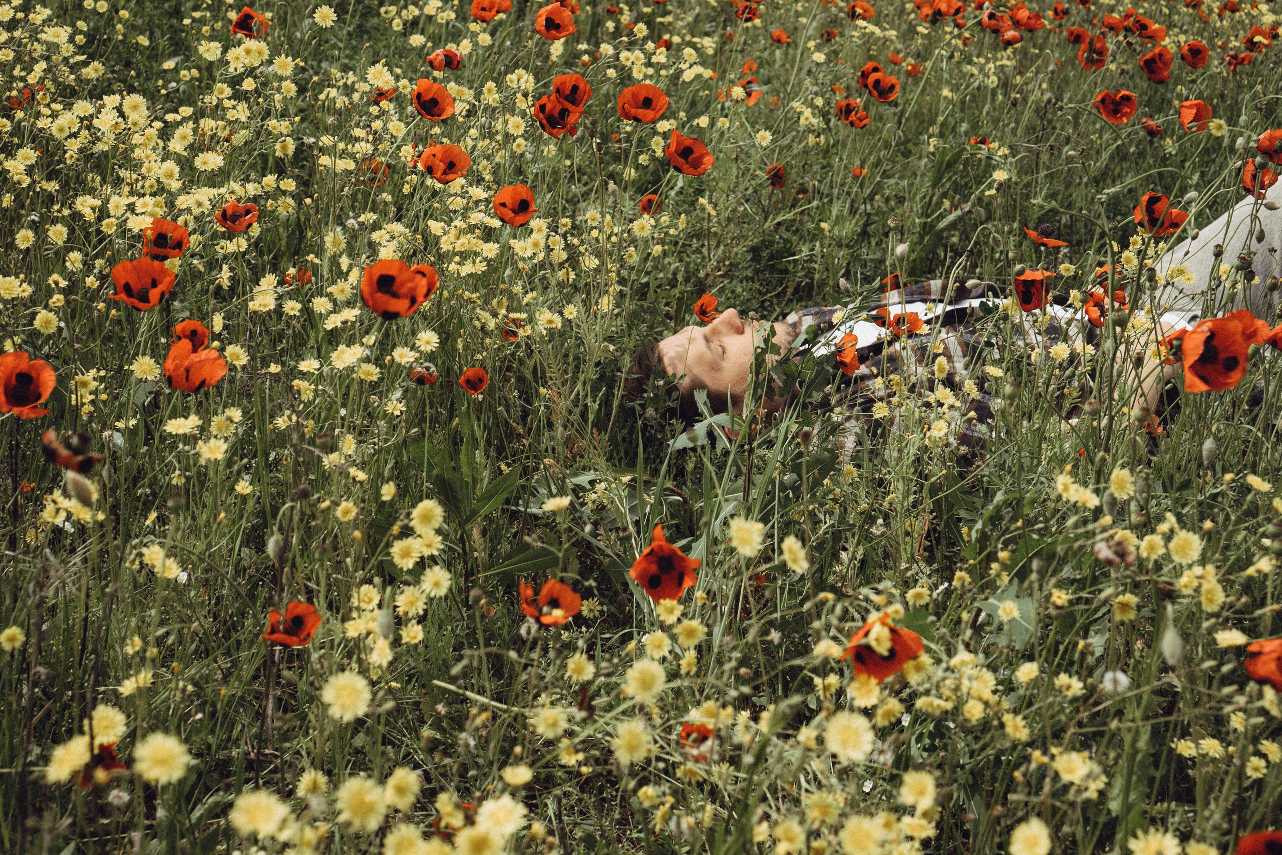 Маки. Профессиональный фотограф, Санкт-Петербург — Виктория Богомолова