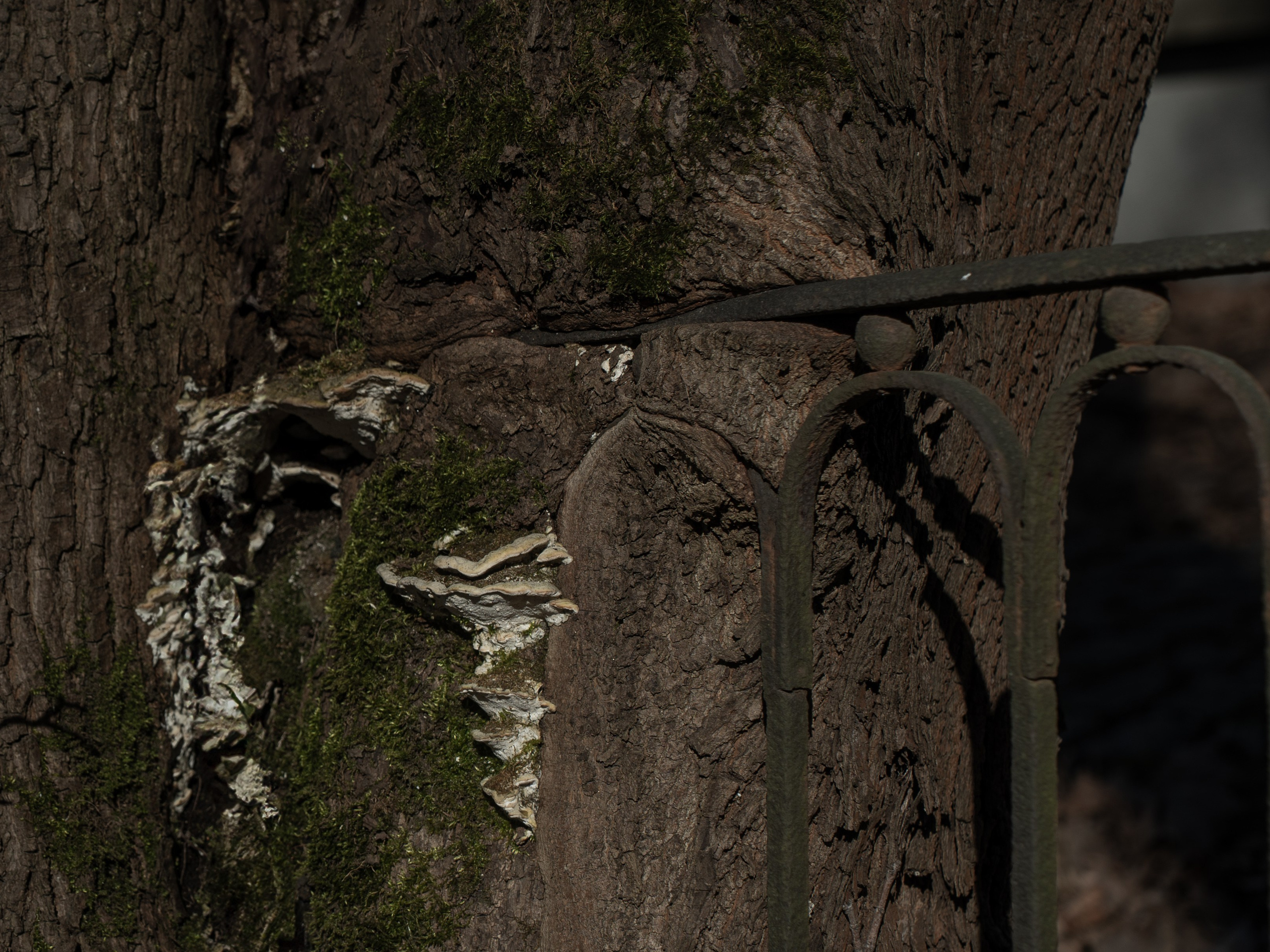 Ксения Доможилова