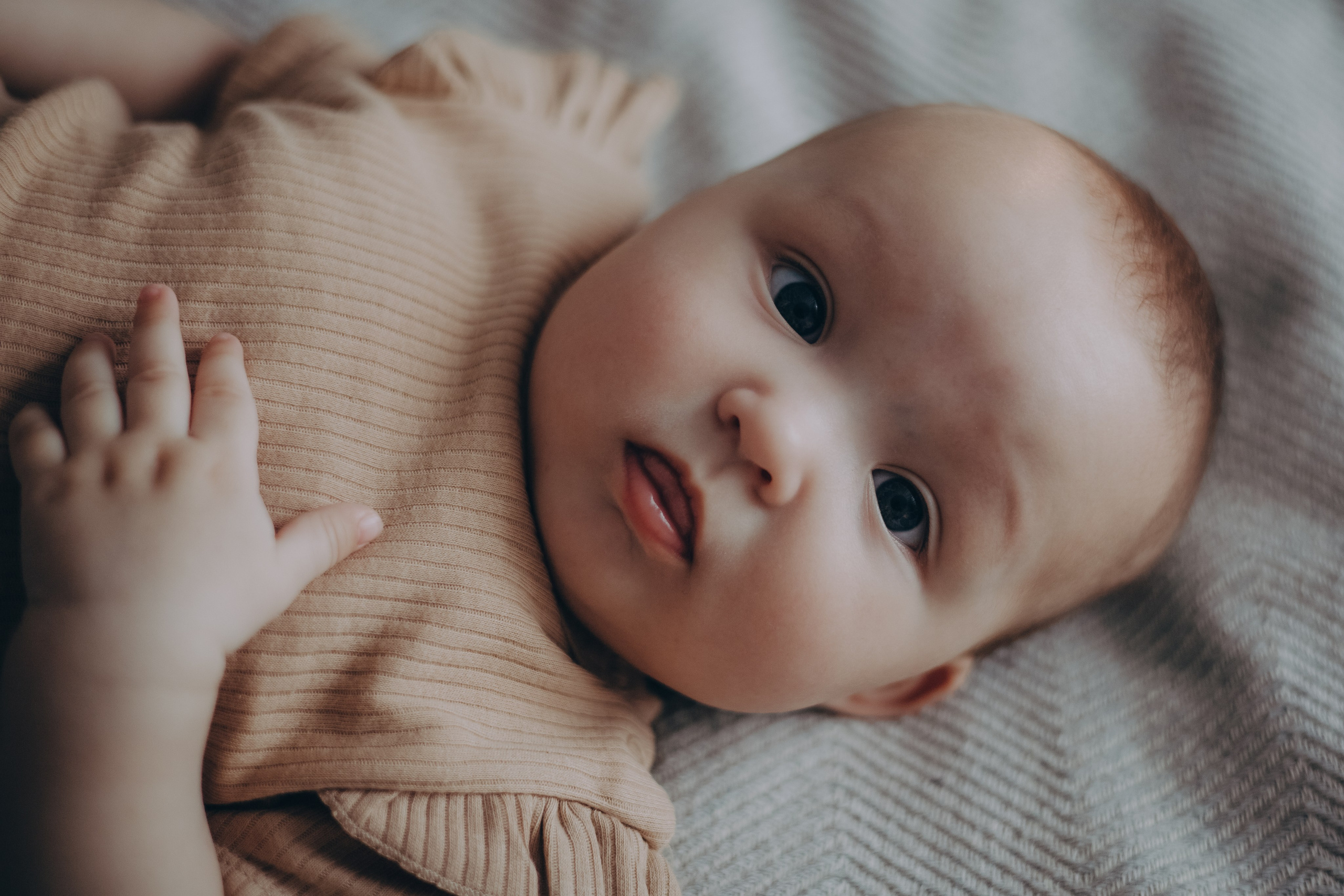 Николай, Дарья и Агата. Семейный фотограф в Сочи Любовь Переседова