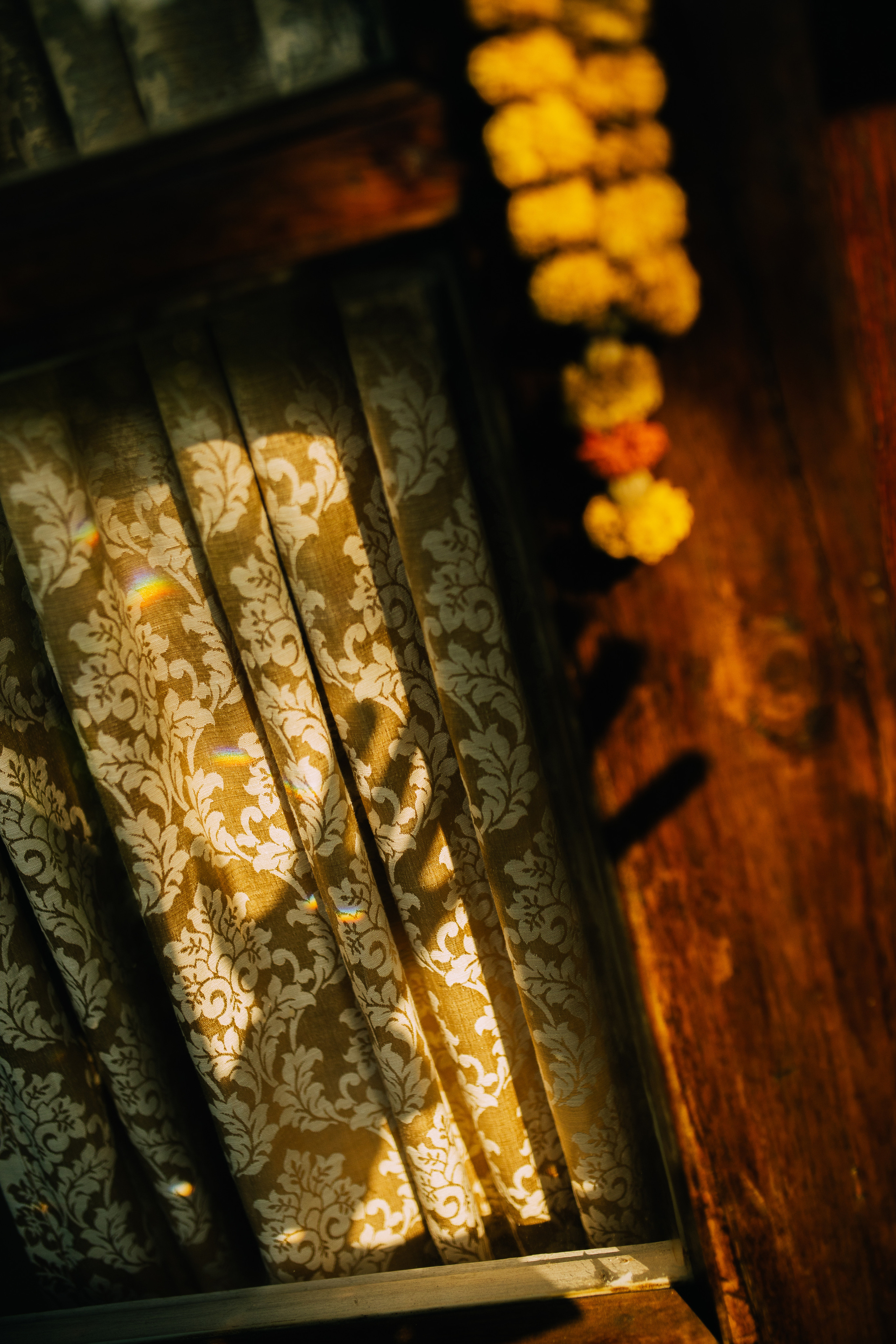 Алексей Мышкин. Фотограф Ольхон/ Индия, Регина