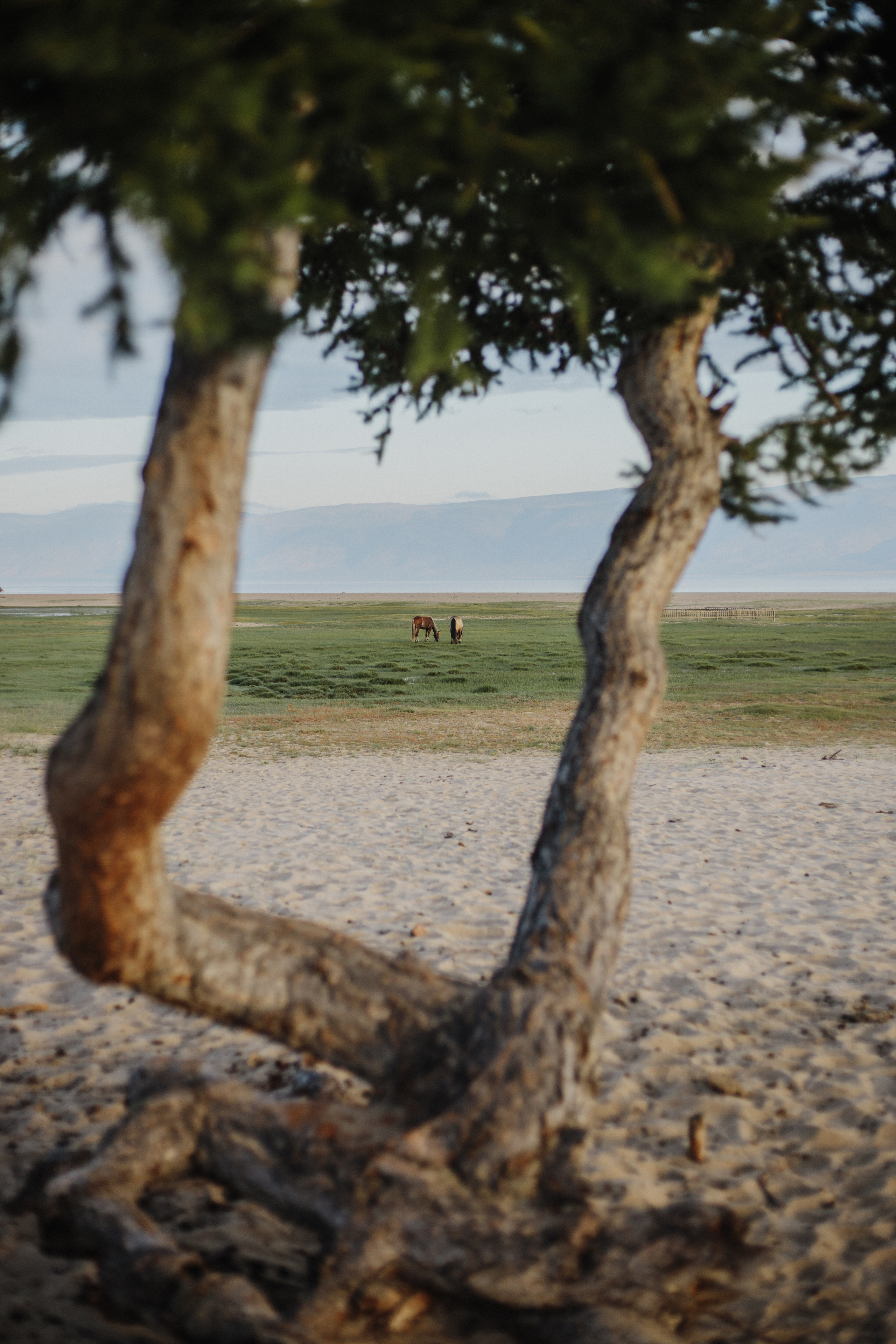 Сергей. Фотограф Ольхон/ Индия, Регина