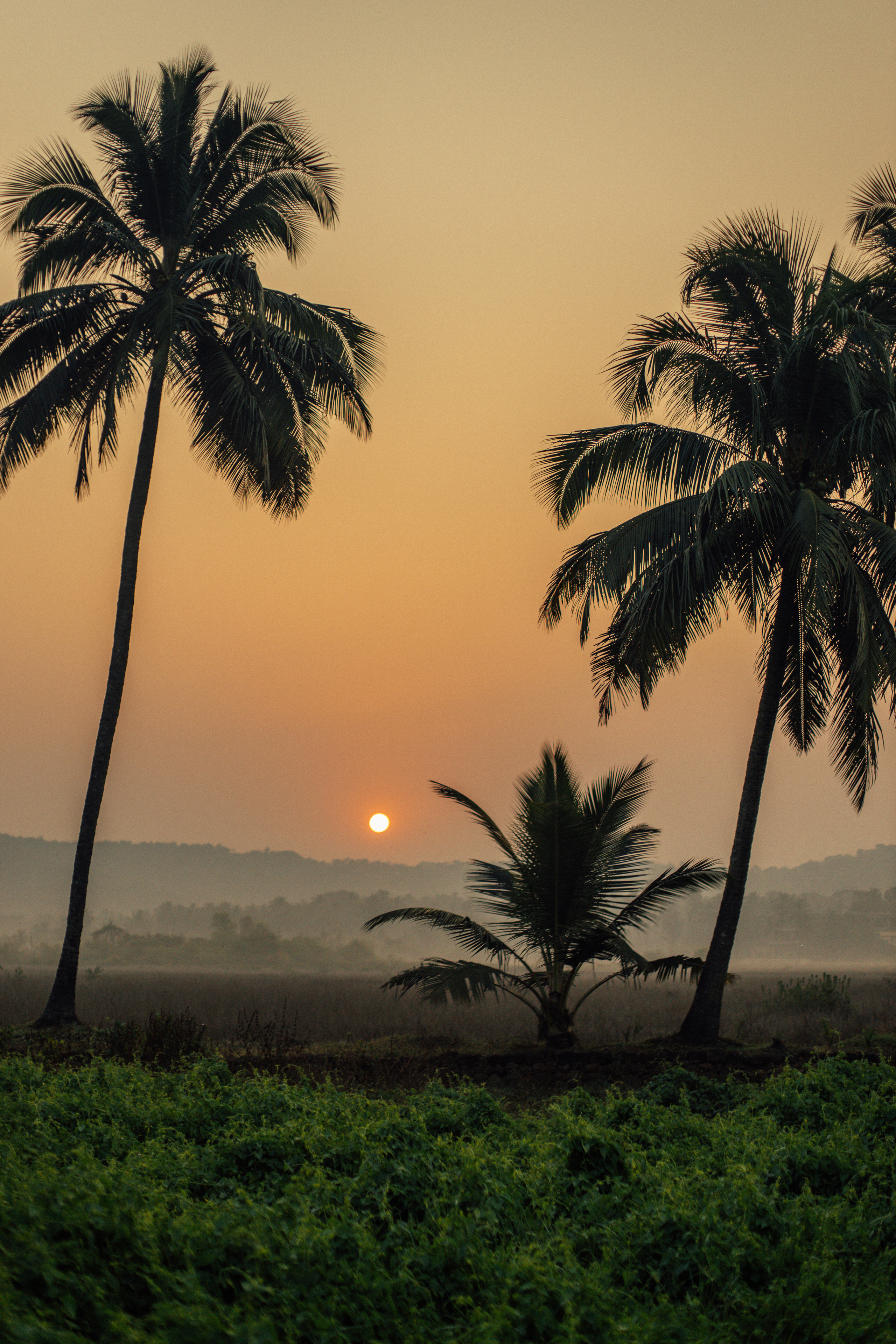 Юлия. Фотограф Ольхон/ Индия, Регина