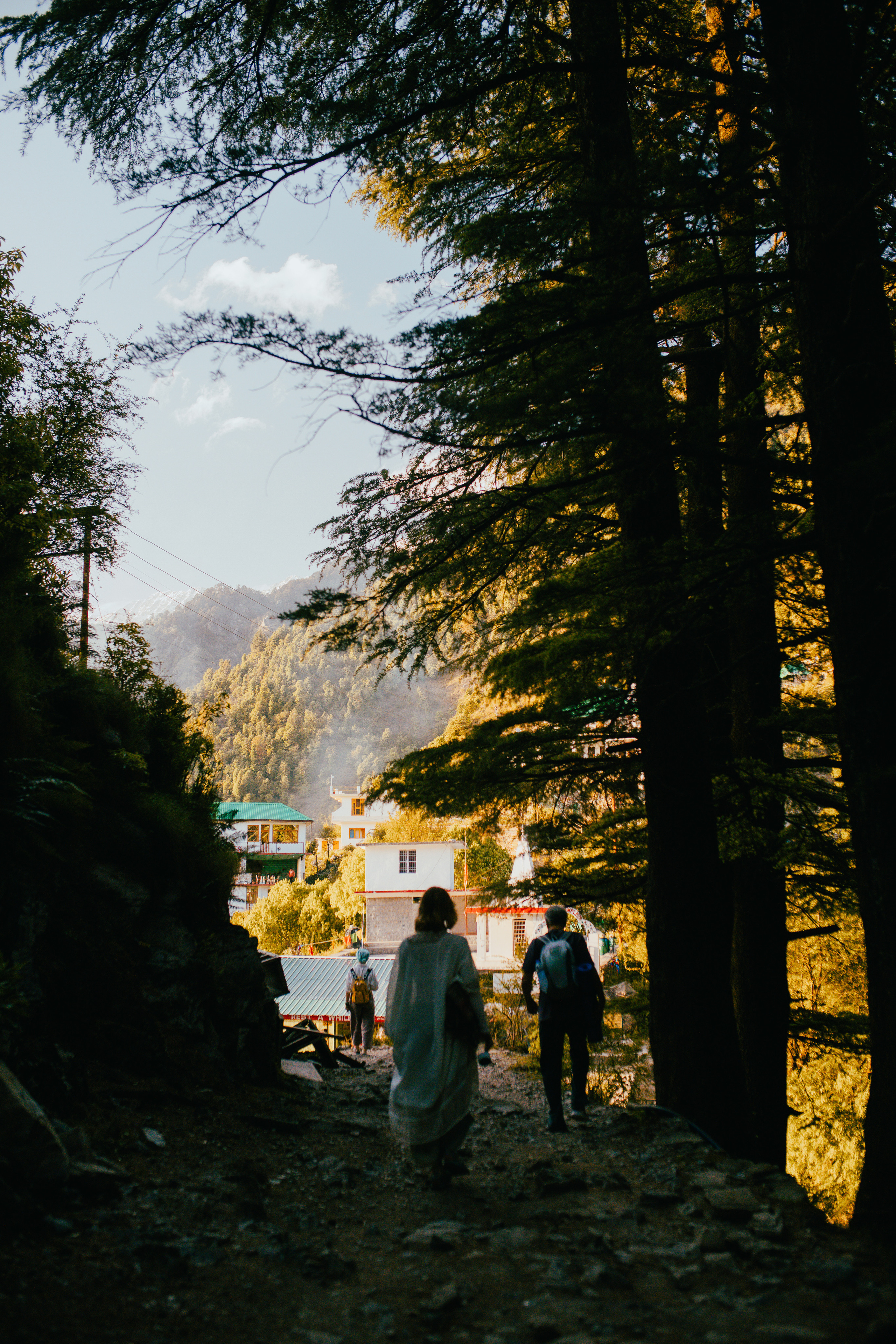 Прогулка к тибетским флагам с командой «Путь сердца» в Гималаях. Фотограф Ольхон/ Индия, Регина