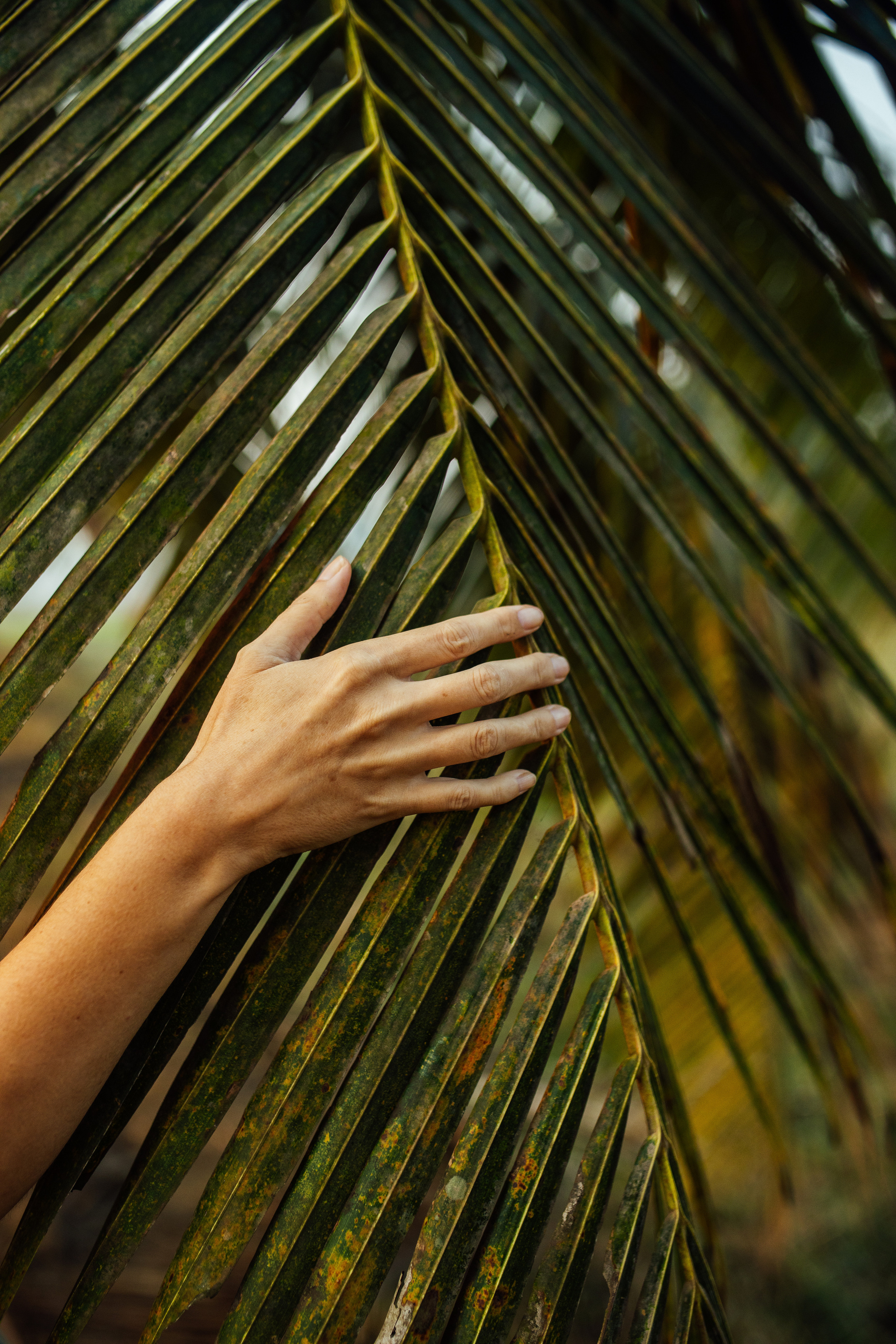 Юлия. Фотограф Ольхон/ Индия, Регина