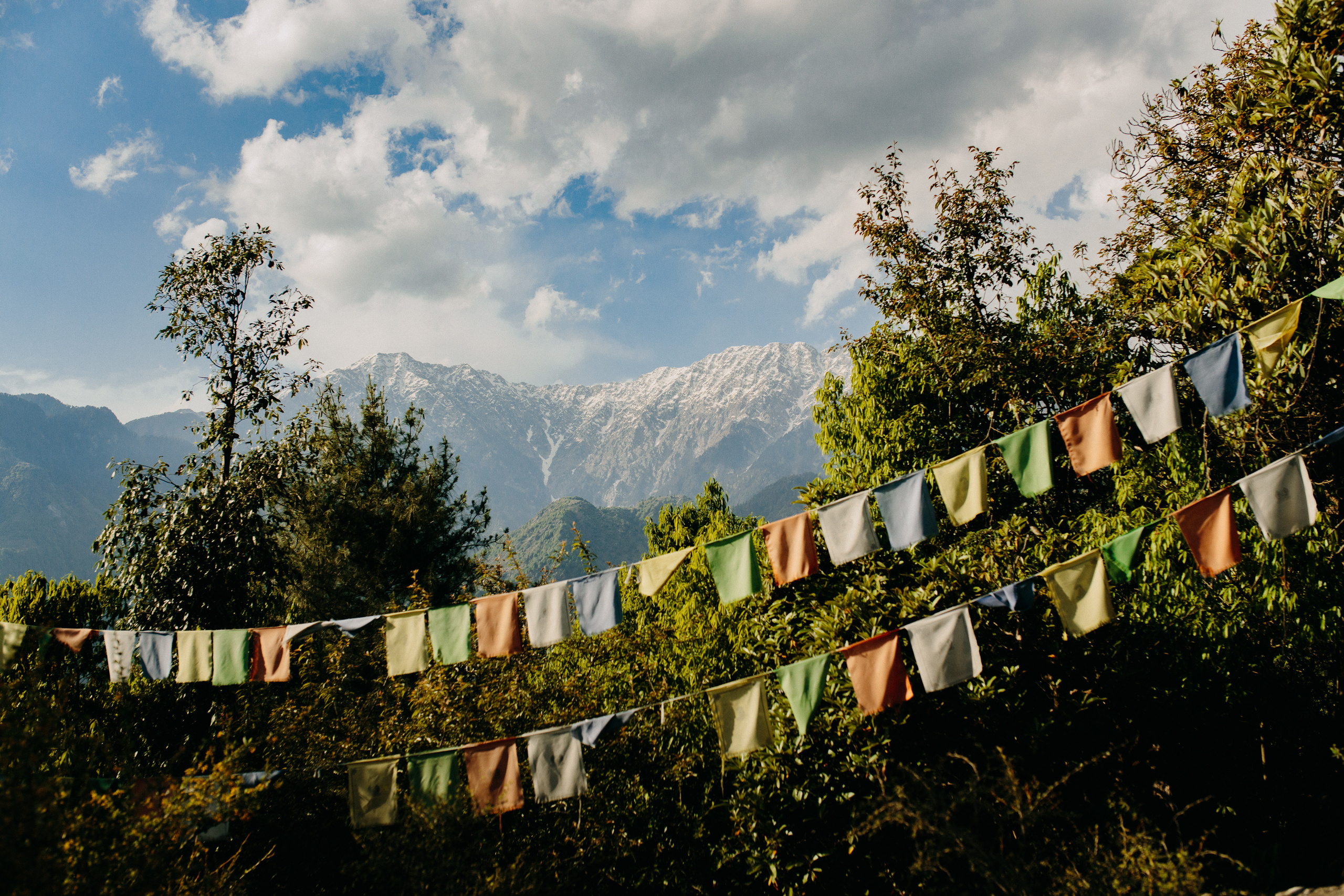 Прогулка к тибетским флагам с командой «Путь сердца» в Гималаях. Фотограф Ольхон/ Индия, Регина