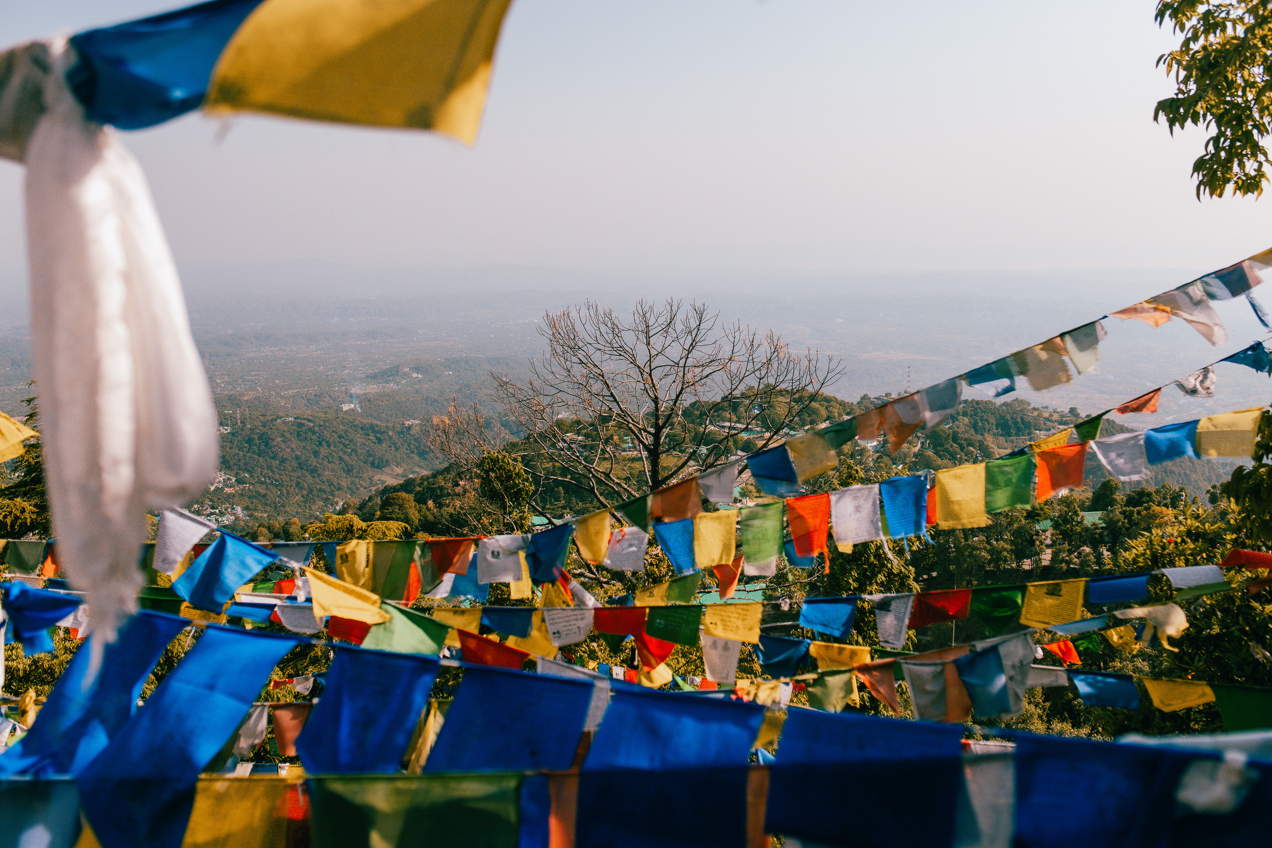 Прогулка к тибетским флагам с командой «Путь сердца» в Гималаях. Фотограф Ольхон/ Индия, Регина