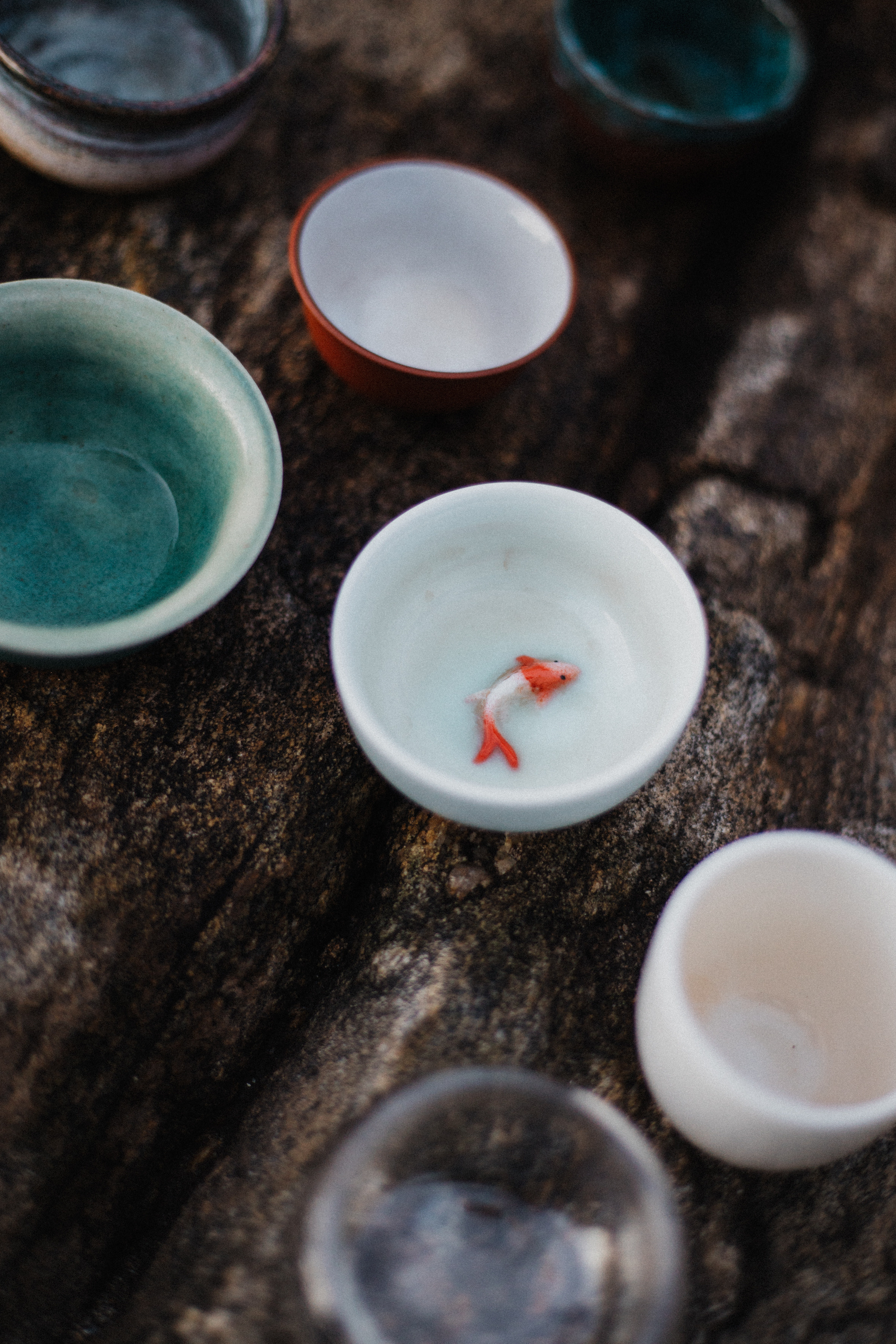 Чайные церемонии на острове Ольхон. Фотограф Ольхон/ Индия, Регина