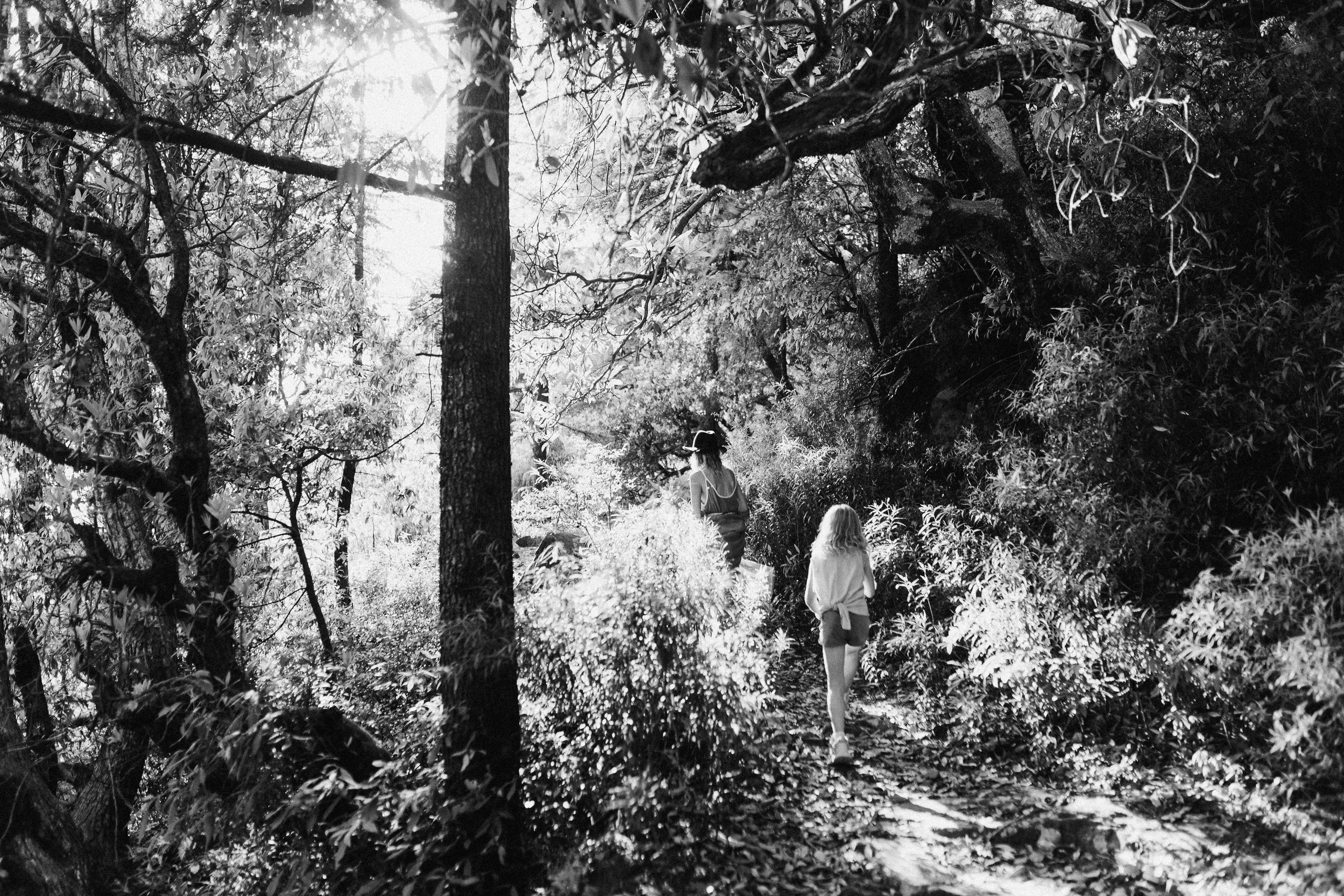 Прогулка к тибетским флагам с командой «Путь сердца» в Гималаях. Фотограф Ольхон/ Индия, Регина