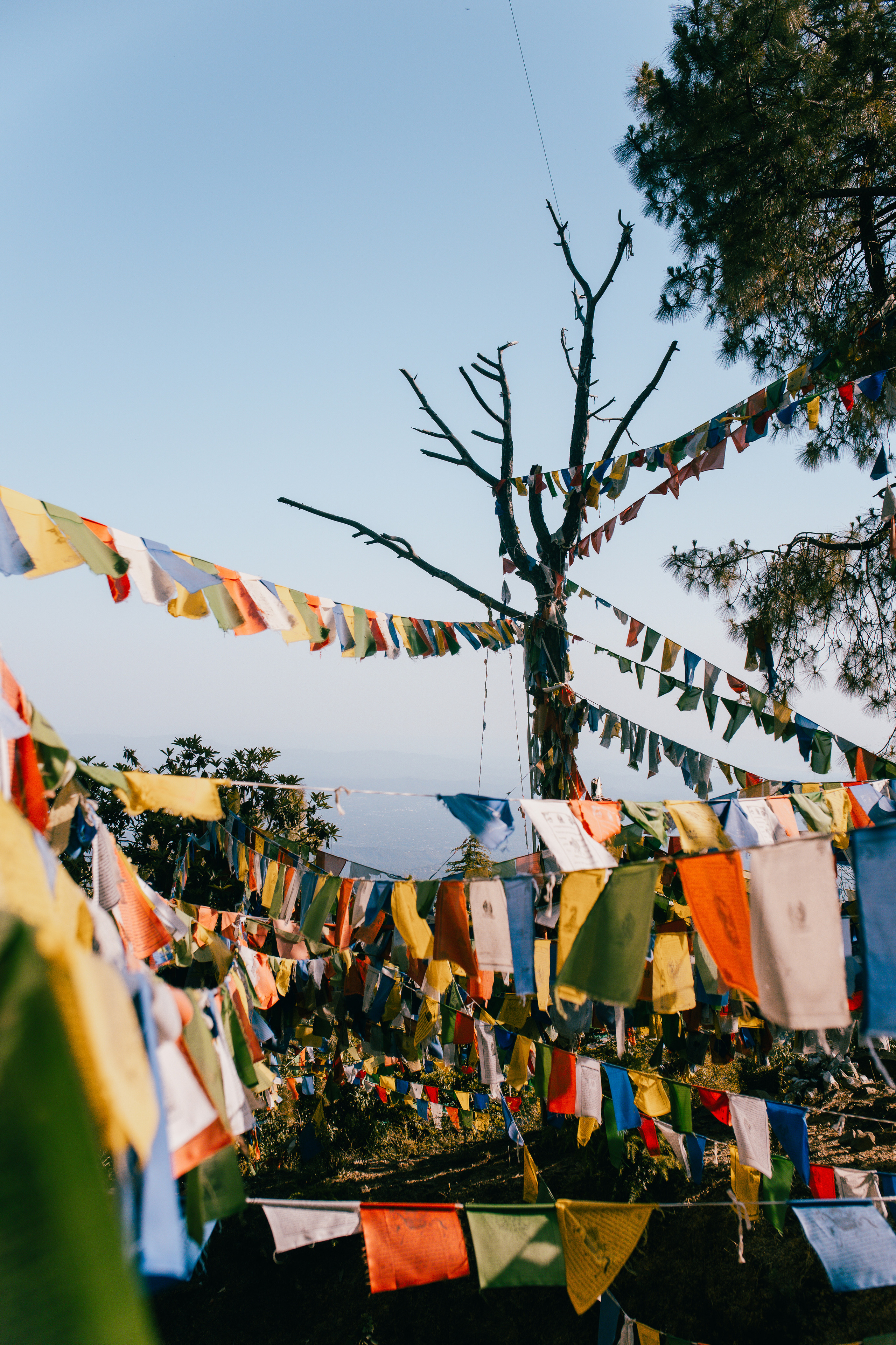 Прогулка к тибетским флагам с командой «Путь сердца» в Гималаях. Фотограф Ольхон/ Индия, Регина