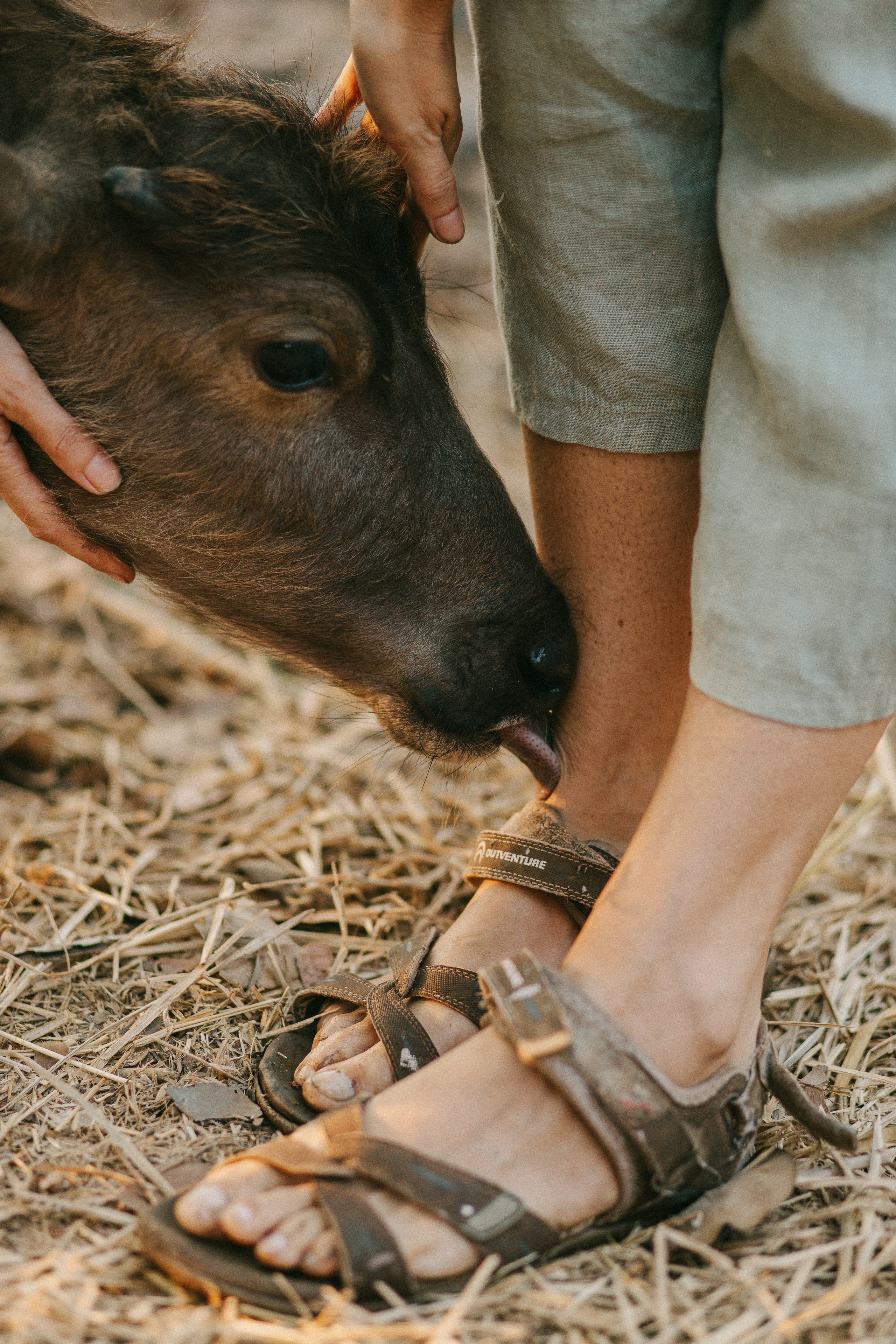 Юлия. Фотограф Ольхон/ Индия, Регина