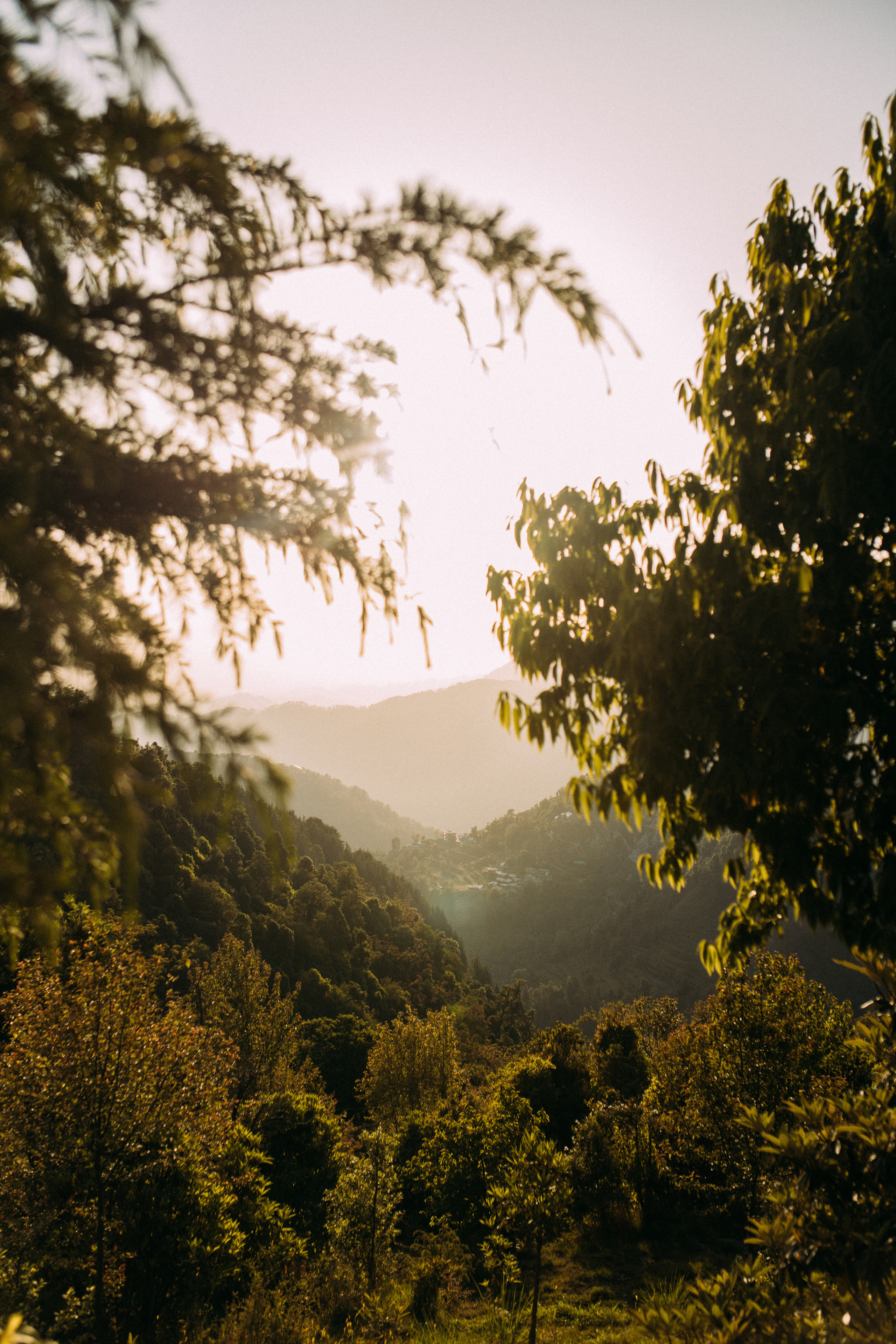 Прогулка к тибетским флагам с командой «Путь сердца» в Гималаях. Фотограф Ольхон/ Индия, Регина