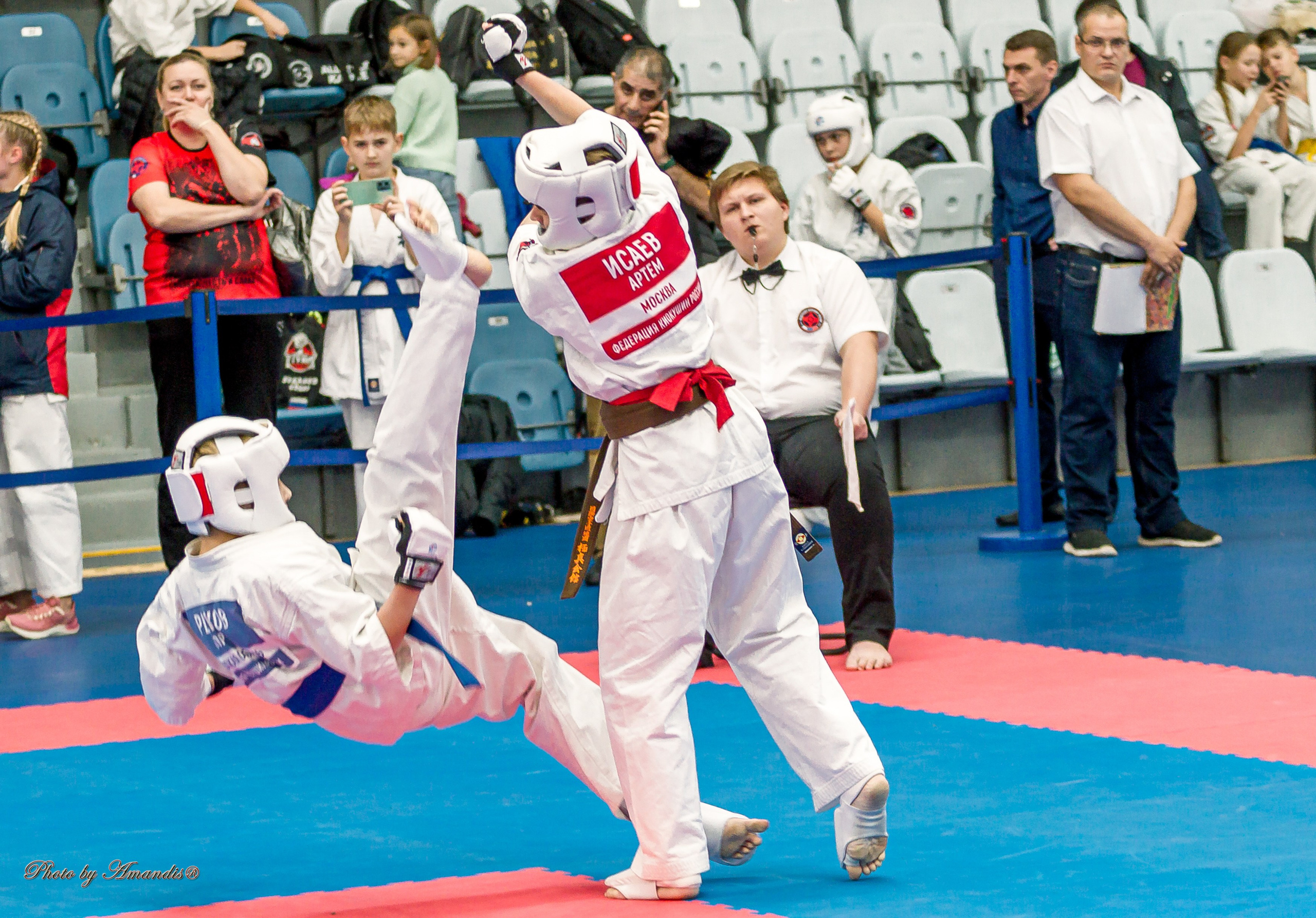 Чемпионат по Киокушинкай Центрального Федерального округа. Репортажная съемка в Москве и области. Анималистика