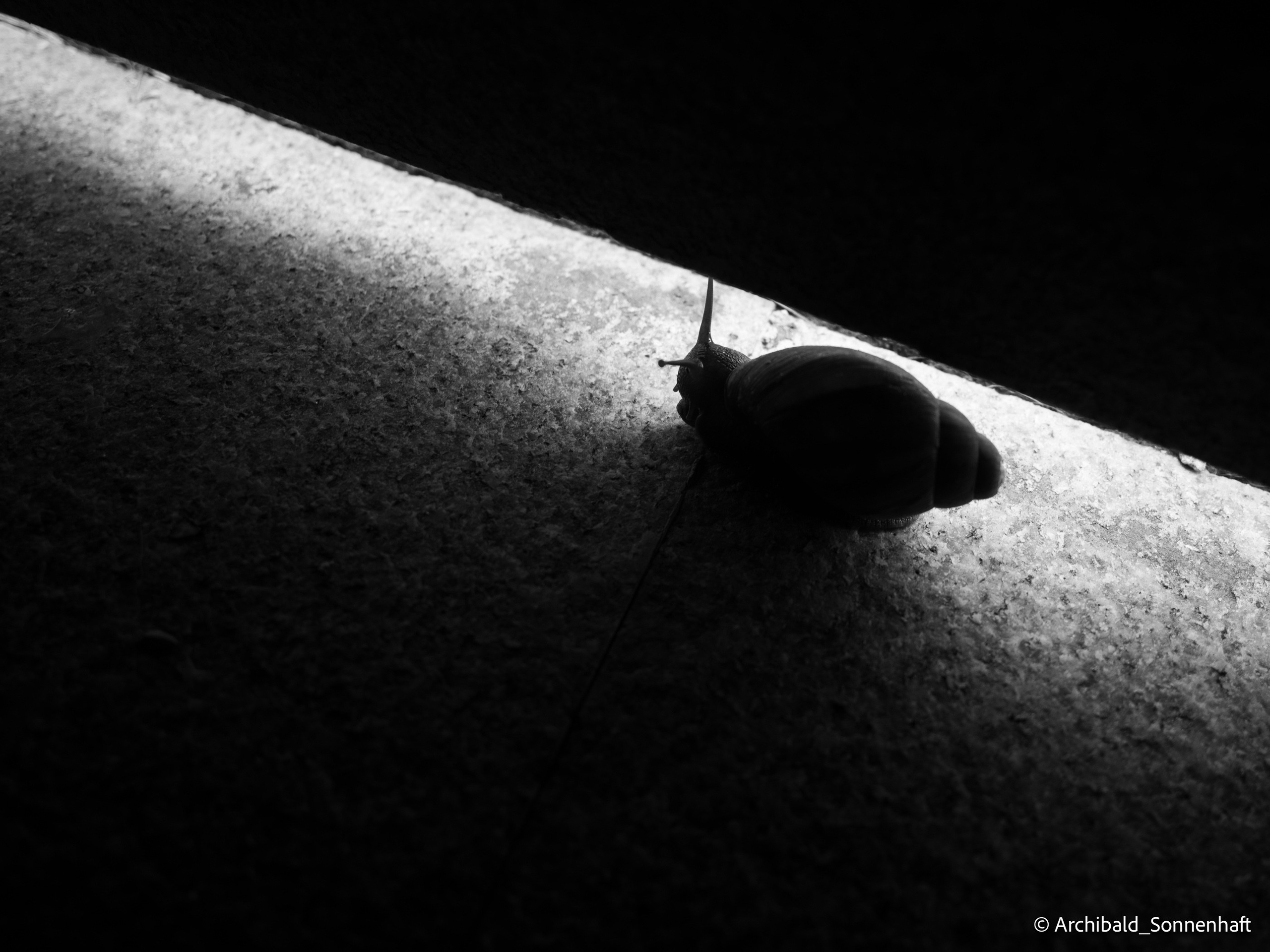 Office environs. Photographer in Guangzhou, China. Archibald Sonnenhaft