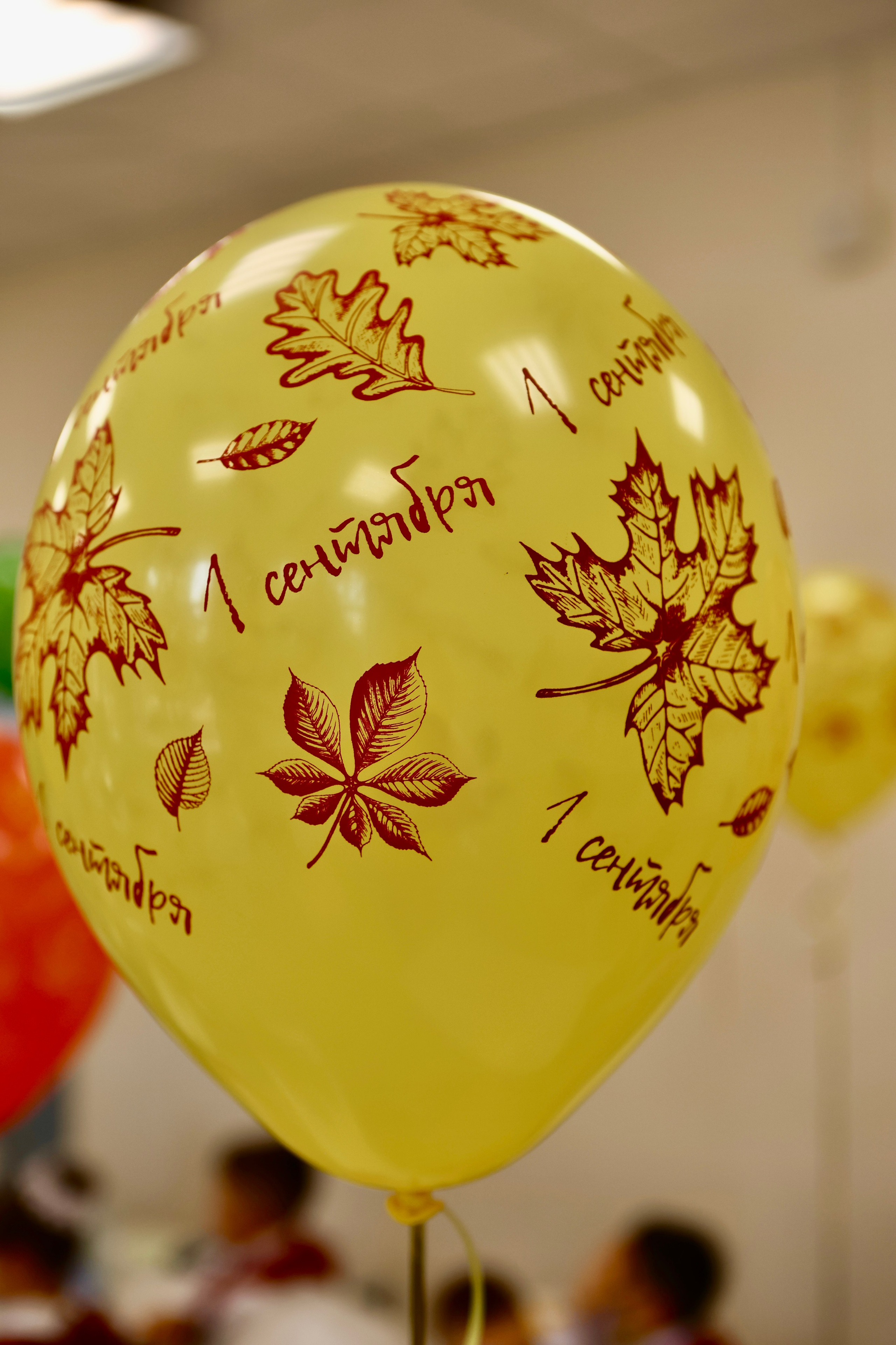 Первое сентября. Фотограф в Курске Смирнов Евгений