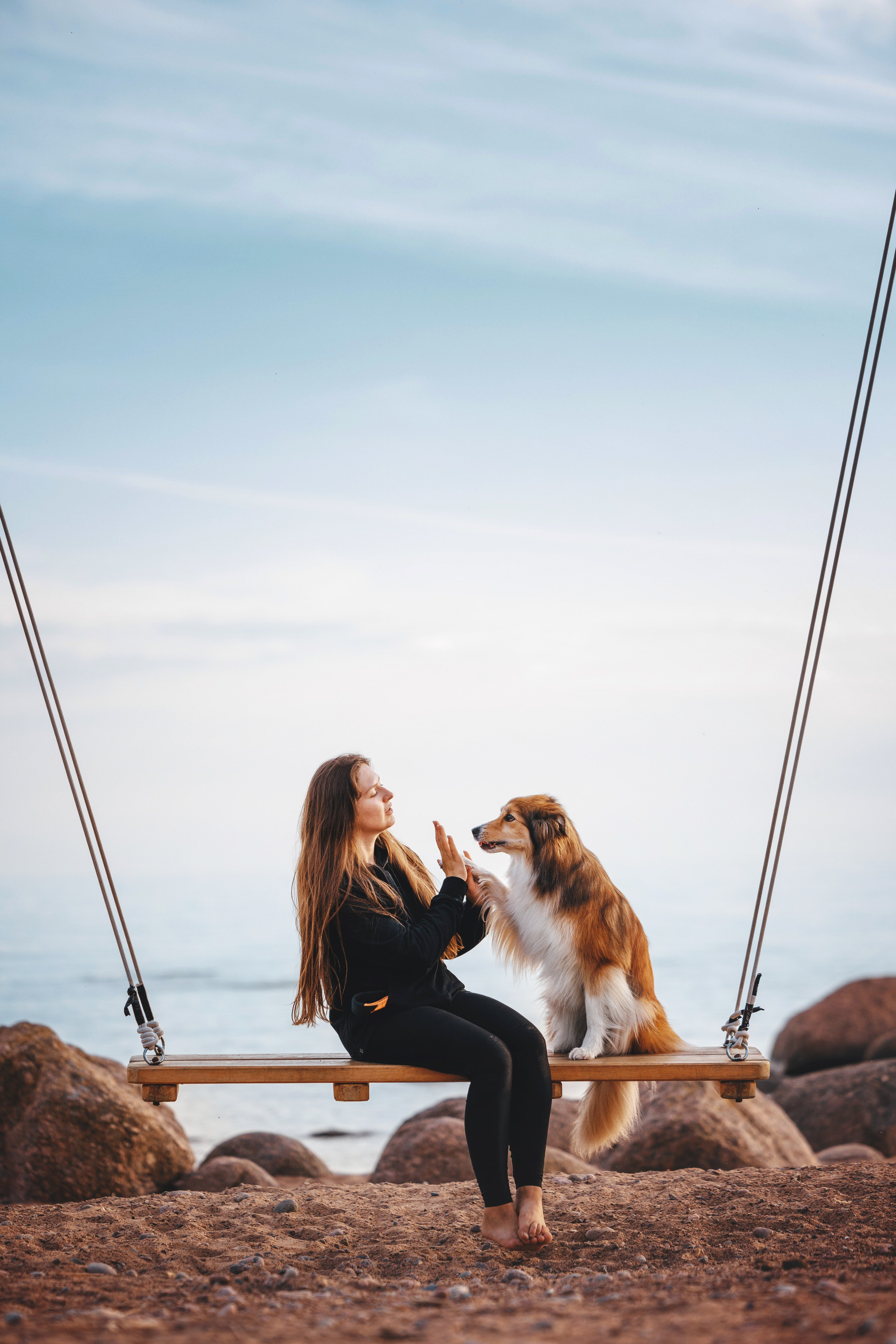 Рита, Маша и много собак. Фотограф анималист Осипчикова Мария