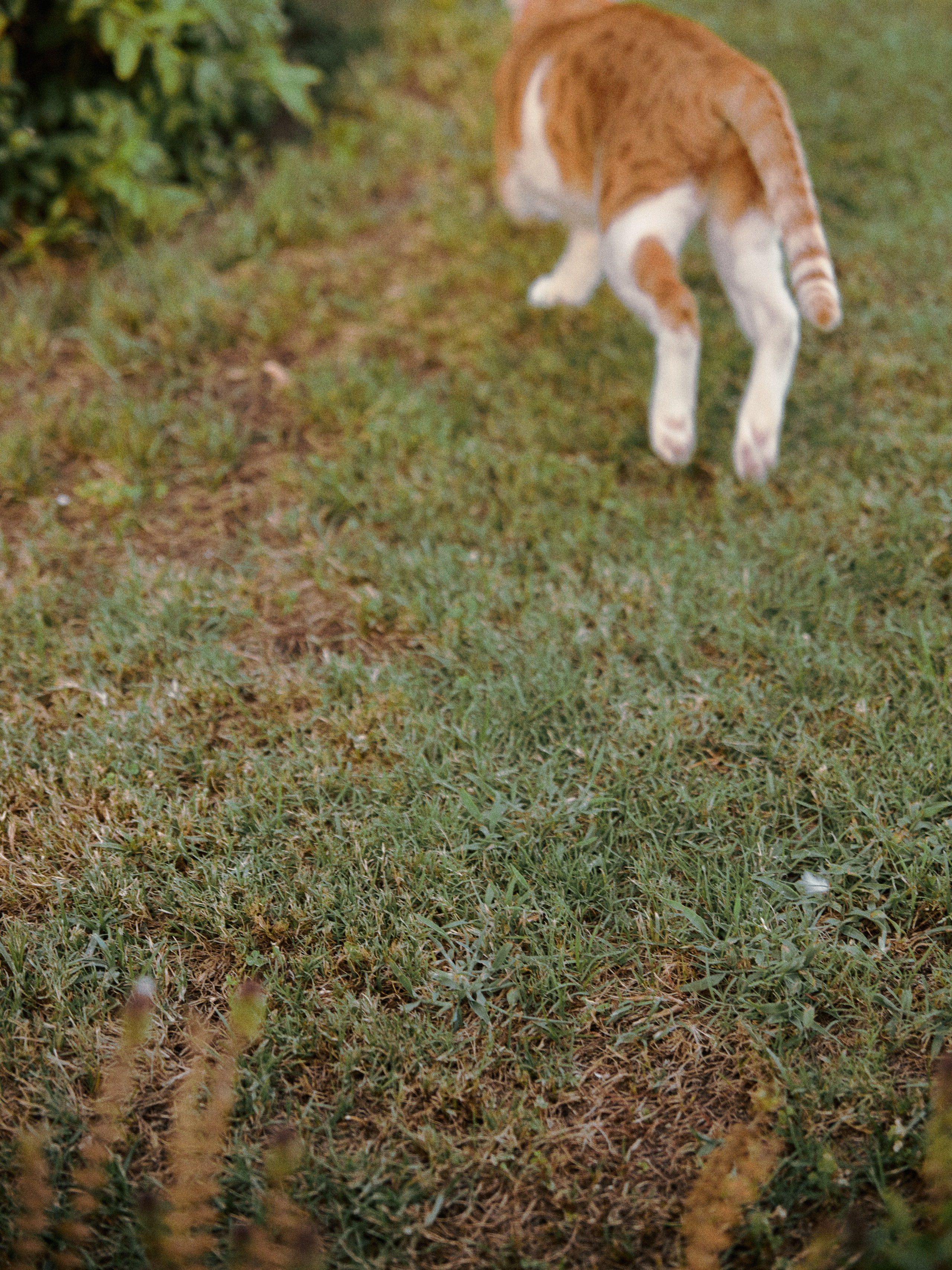 Природа. Jorgis Talè — photographer, kind person, teacher of arts and other mag