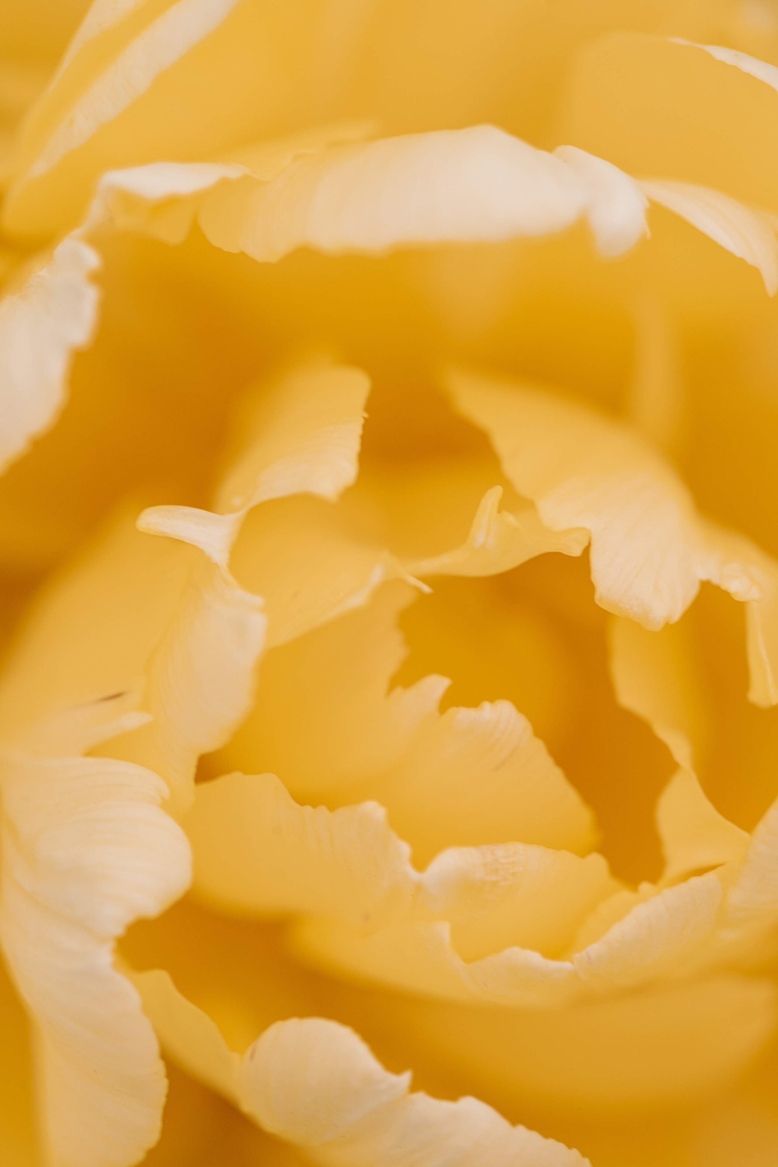 Macro. Фотограф на Юге России