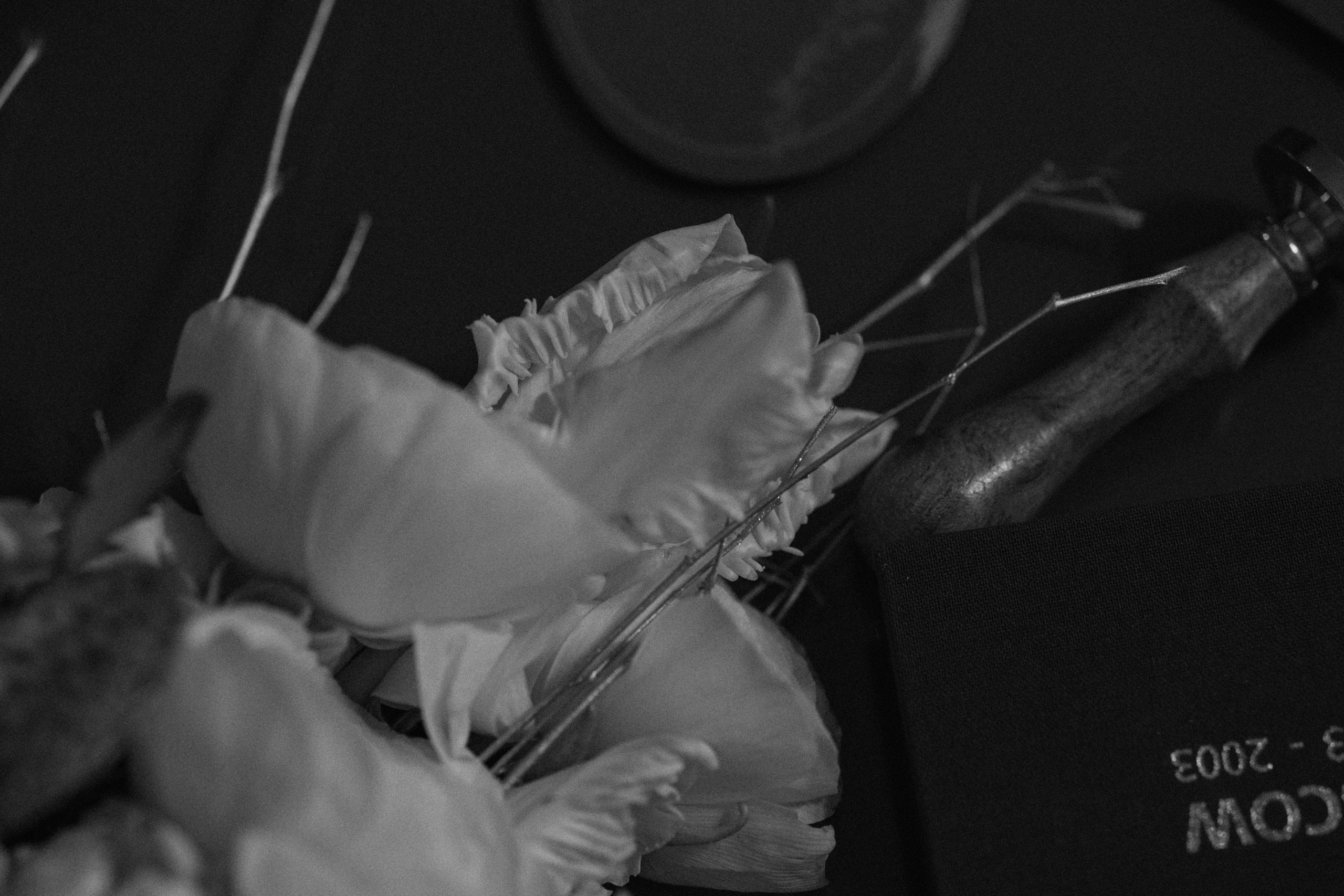 Свадебный фотограф Вера Пьянцева Санкт-Петербург Москва