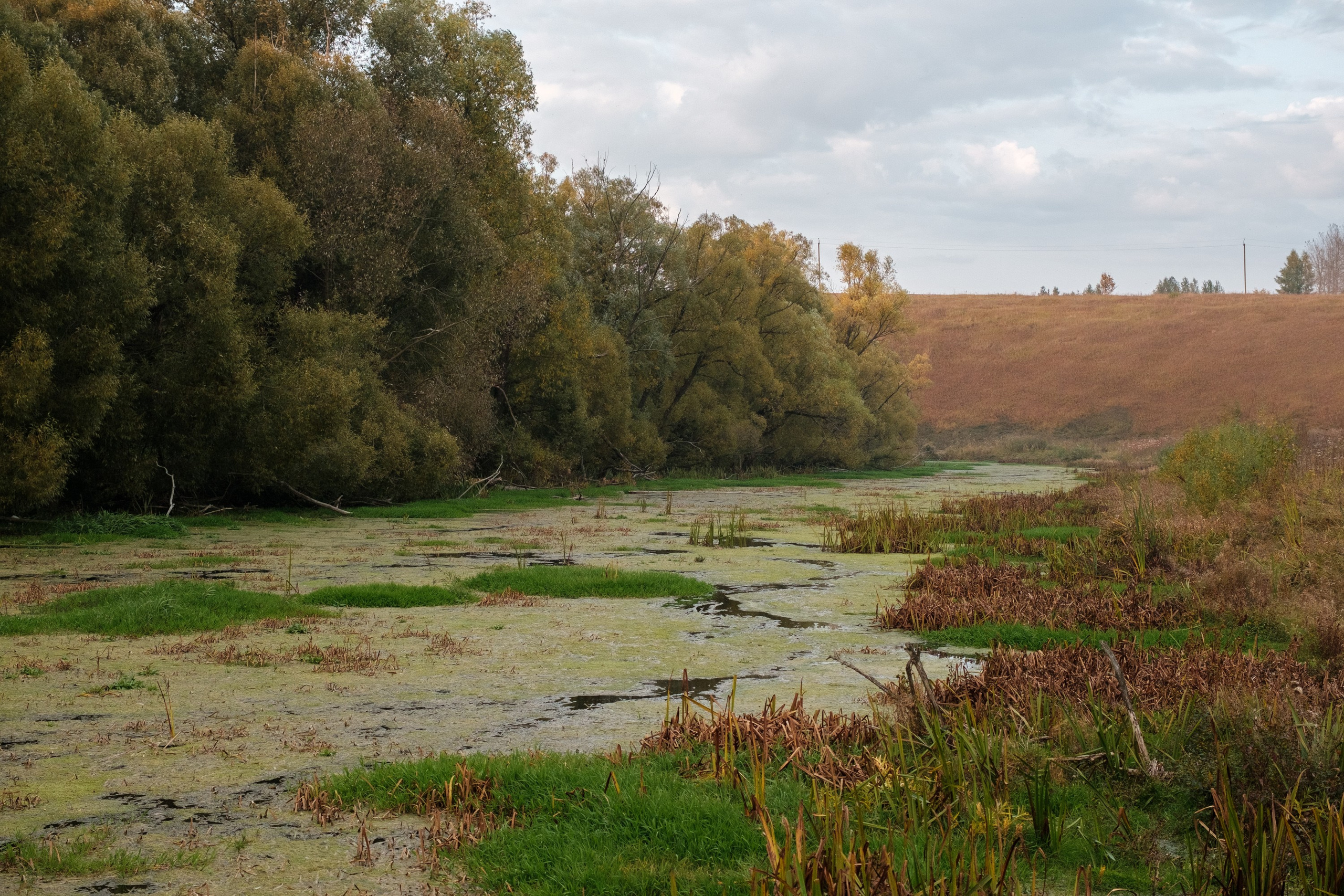 Нарышкино. Фотограф и видеооператор в Туле | Даниил Рыбак