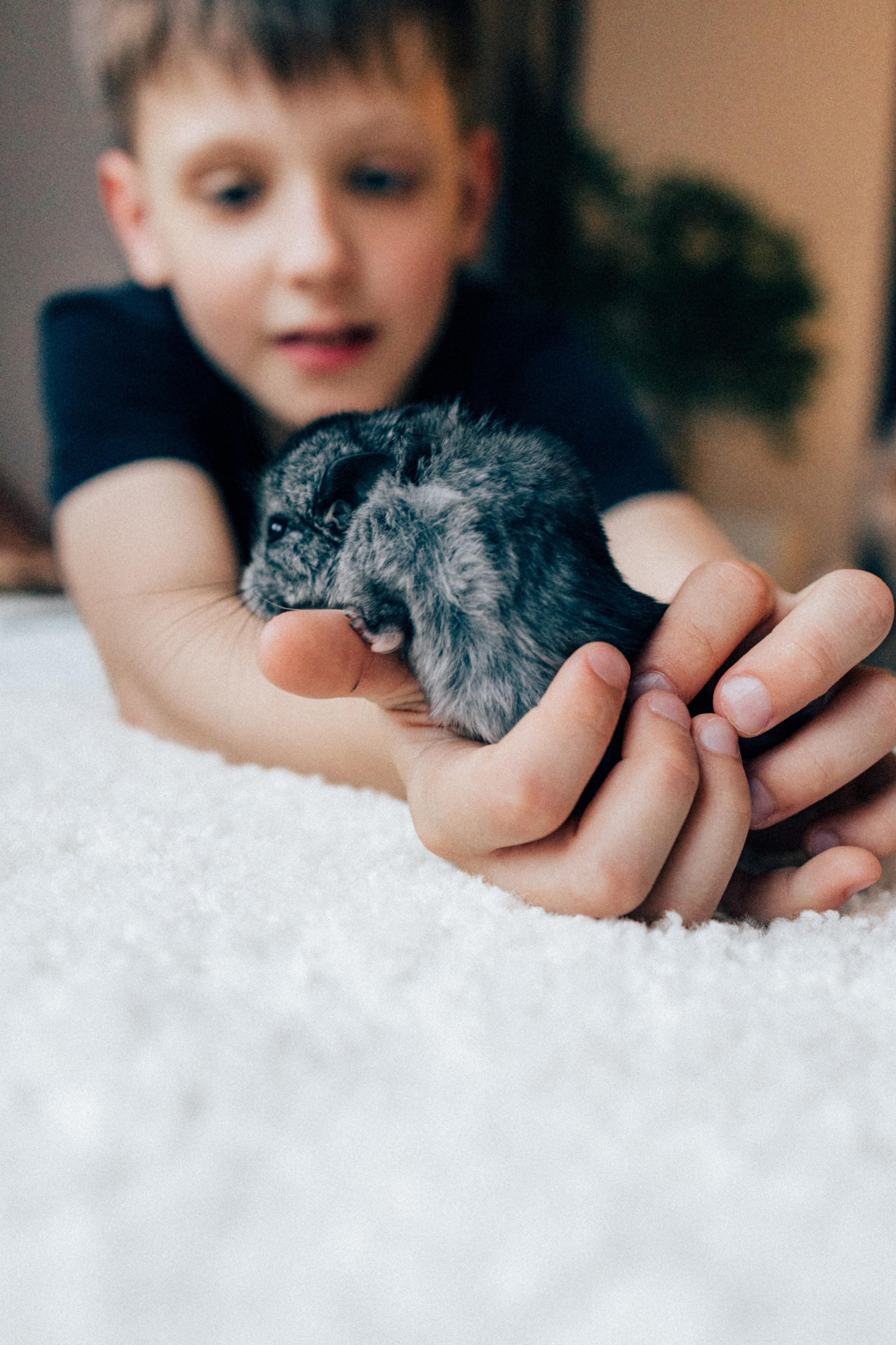 Lifstyle Фролкины. Семейный, женский и детский фотограф Татьяна Колобаева