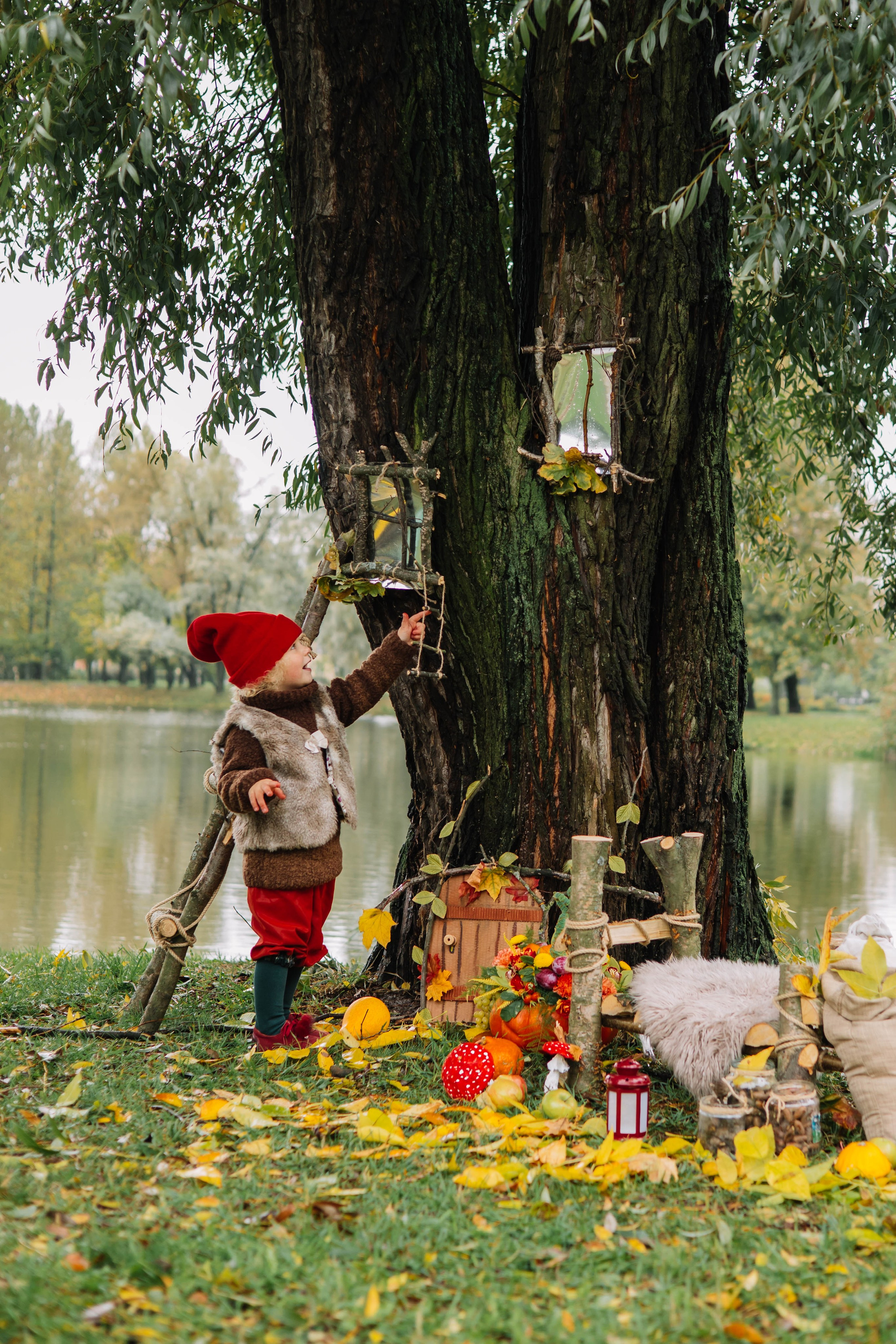 Гномики. Фотография с любовью от Людмилы Луценко